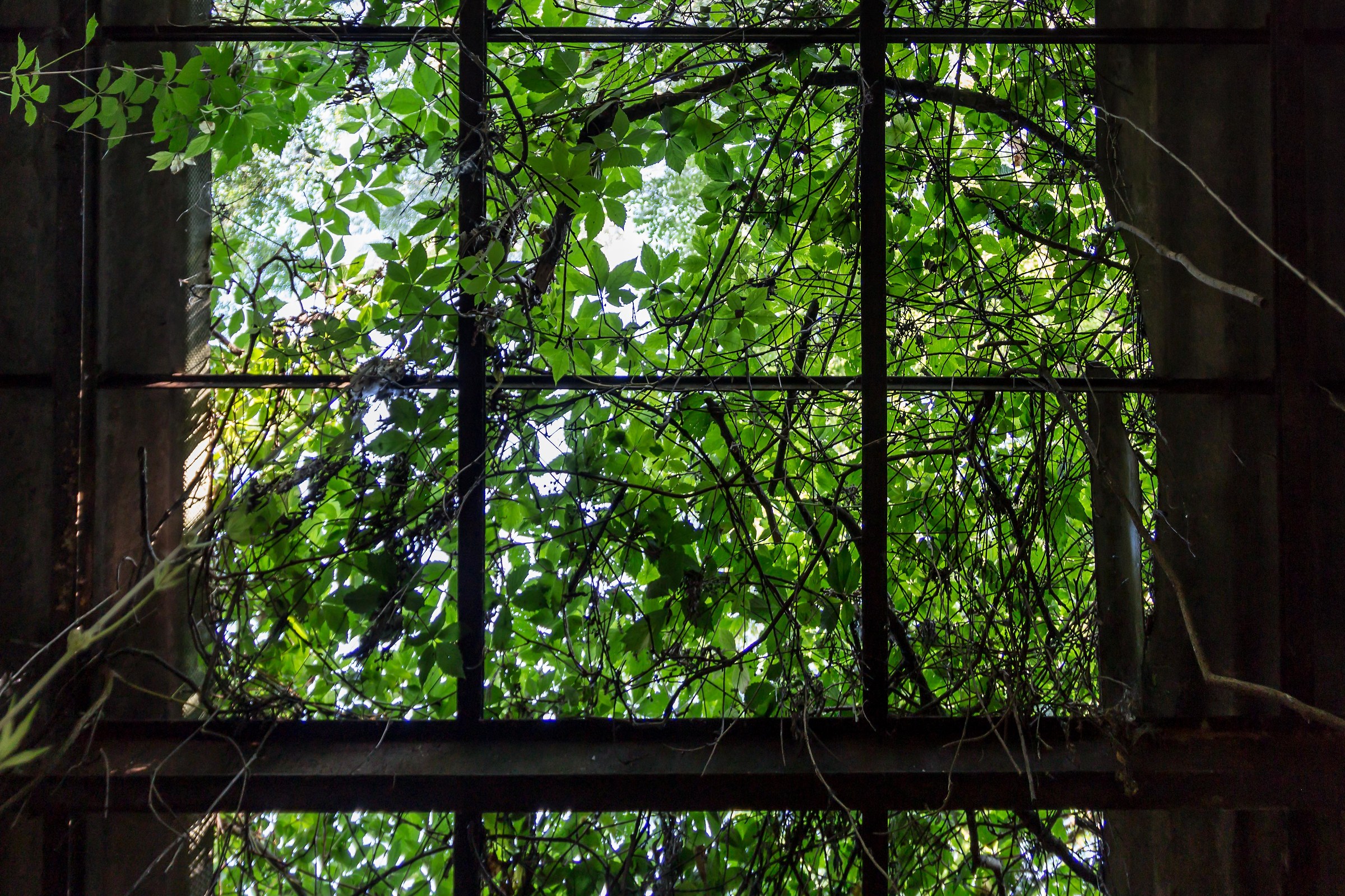 Garzificio Health Ceschina (Marnate-Va) 1907