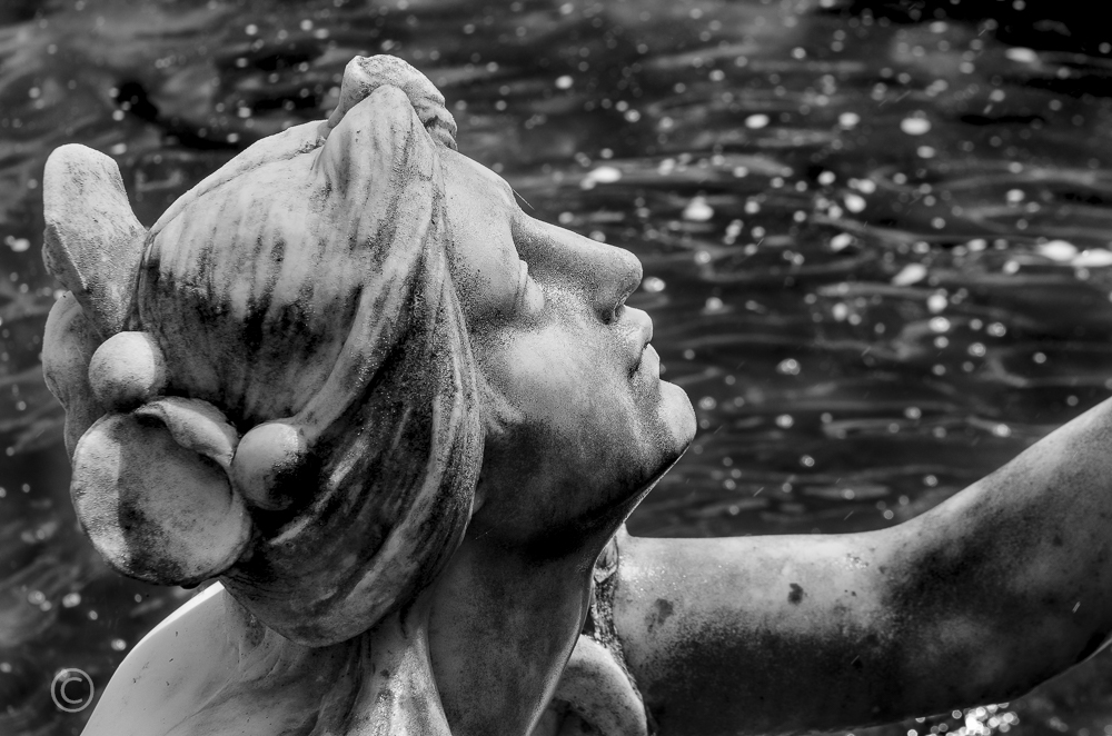 In Hever Castle garden