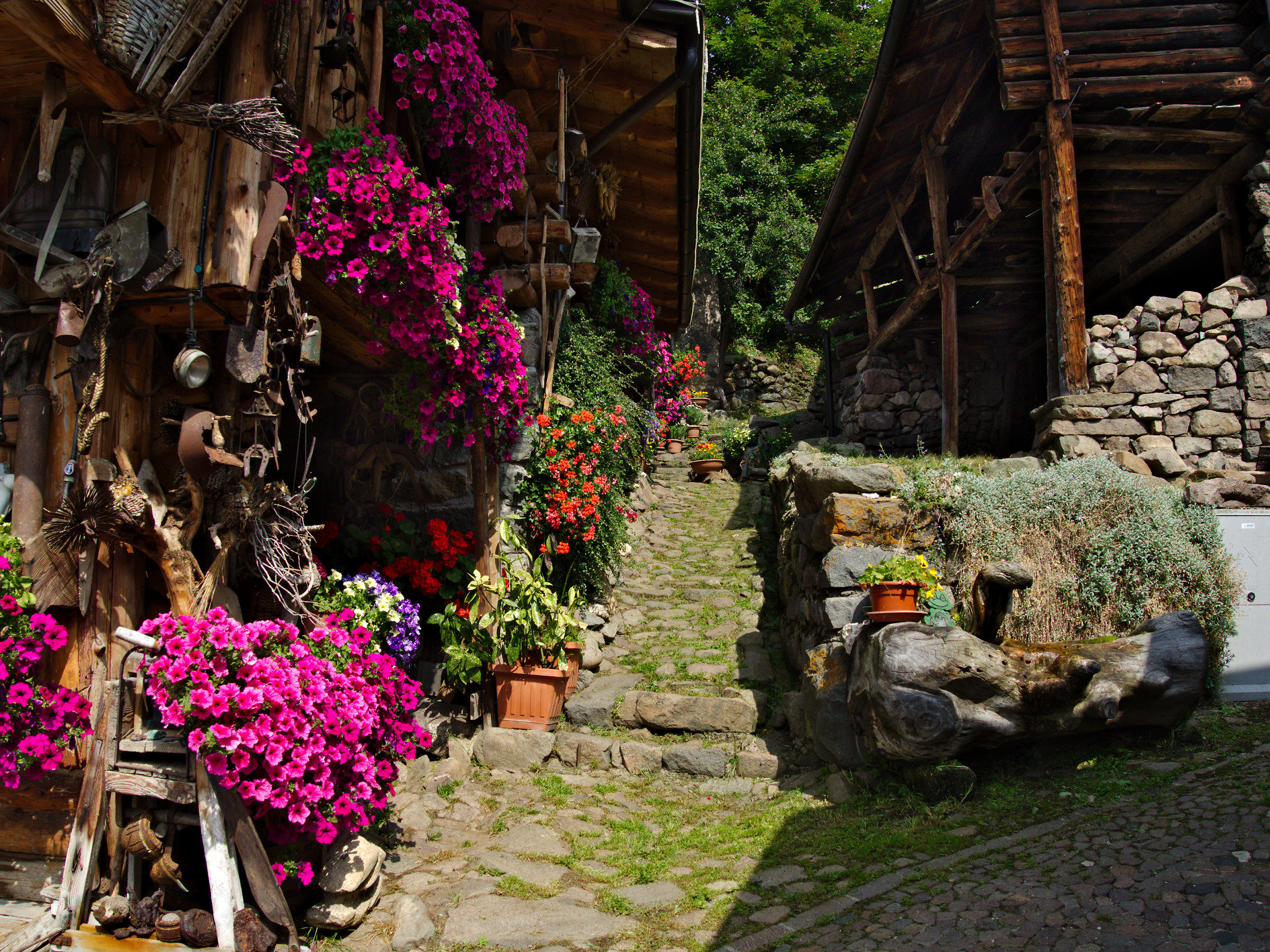 colori in val dei Mocheni