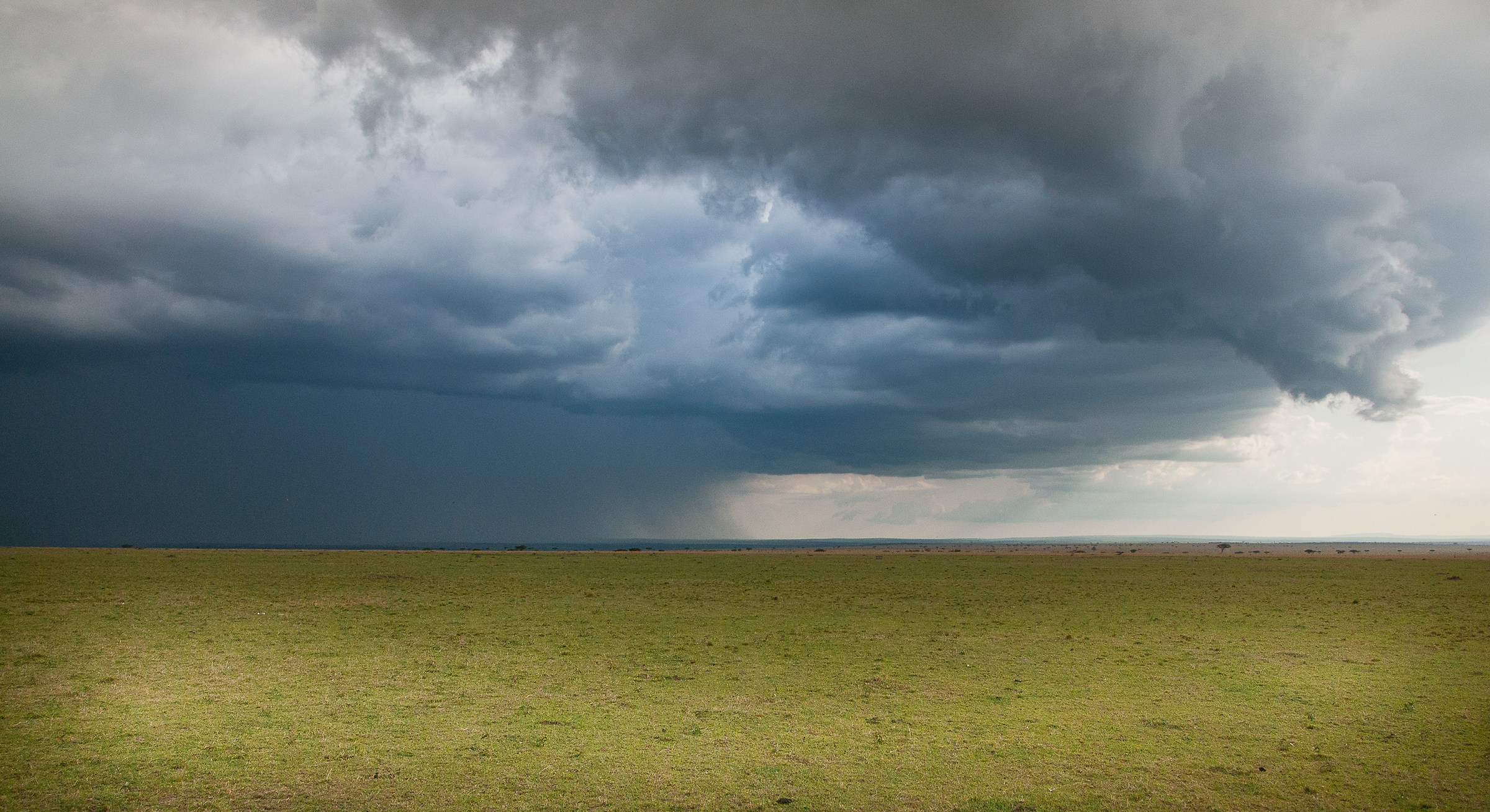 Thunderstorm in the Serengeti