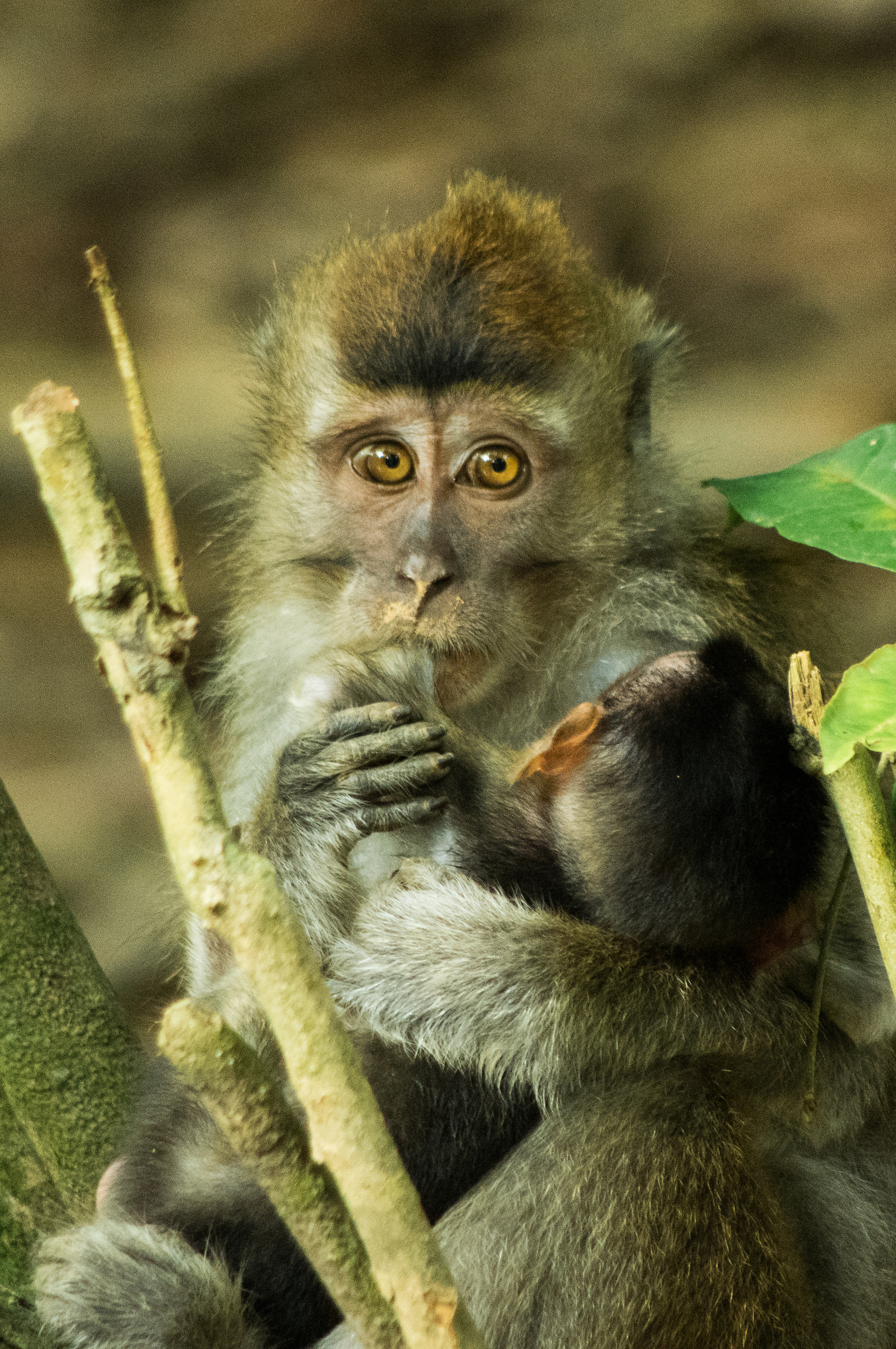 La differenza tra me e te