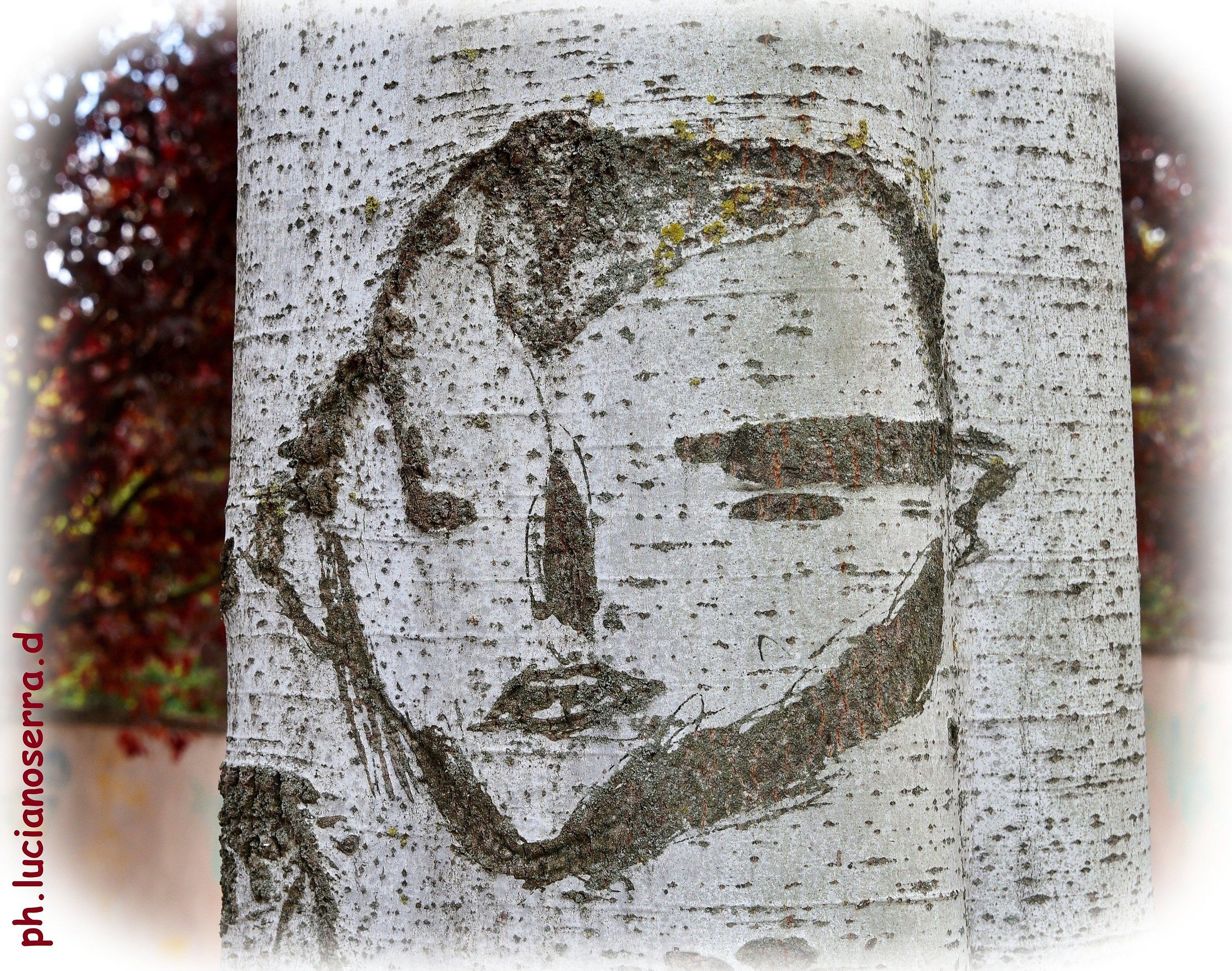 How to ruin a tree ...