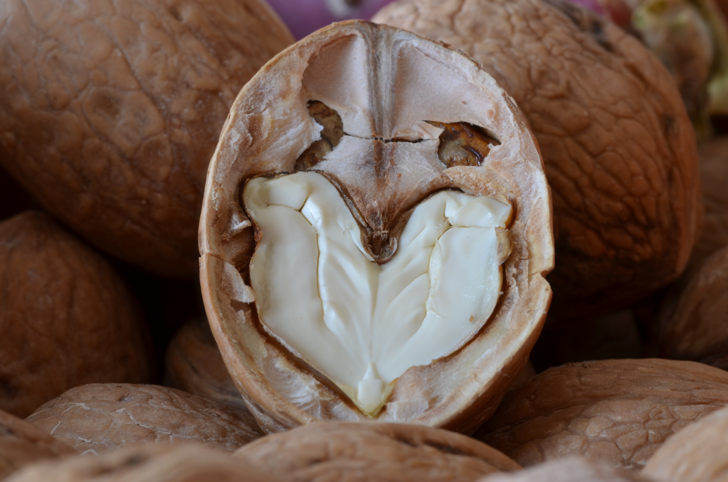 Walnut heart