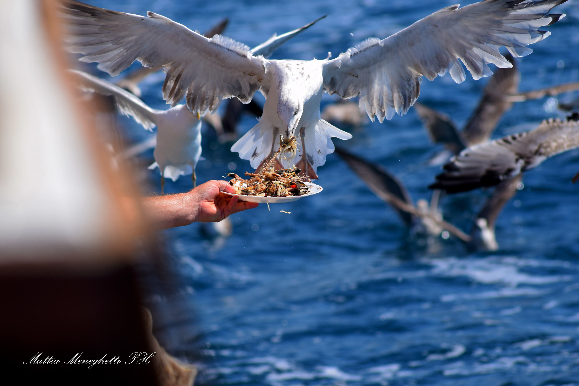 enjoy your meal.....