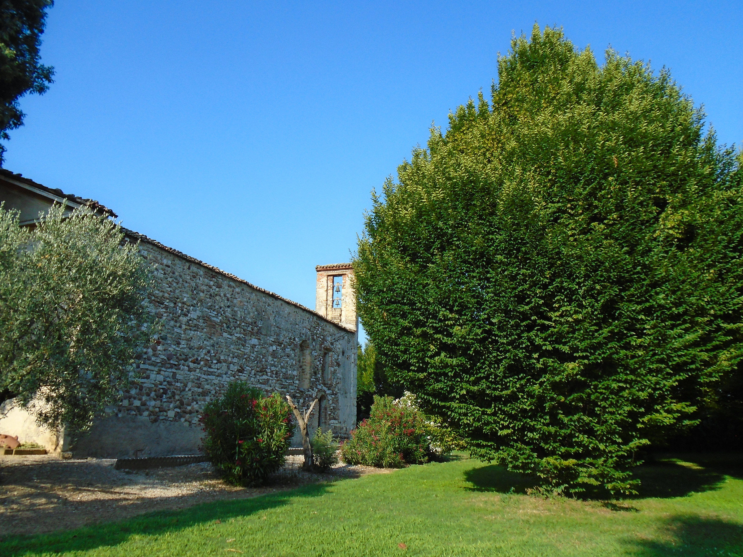 In the shadow of the carpine