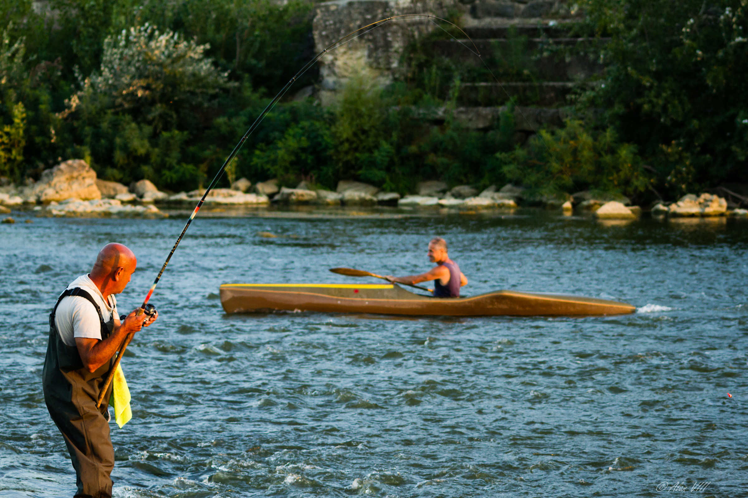 quadretto da pescaia fiorentina
