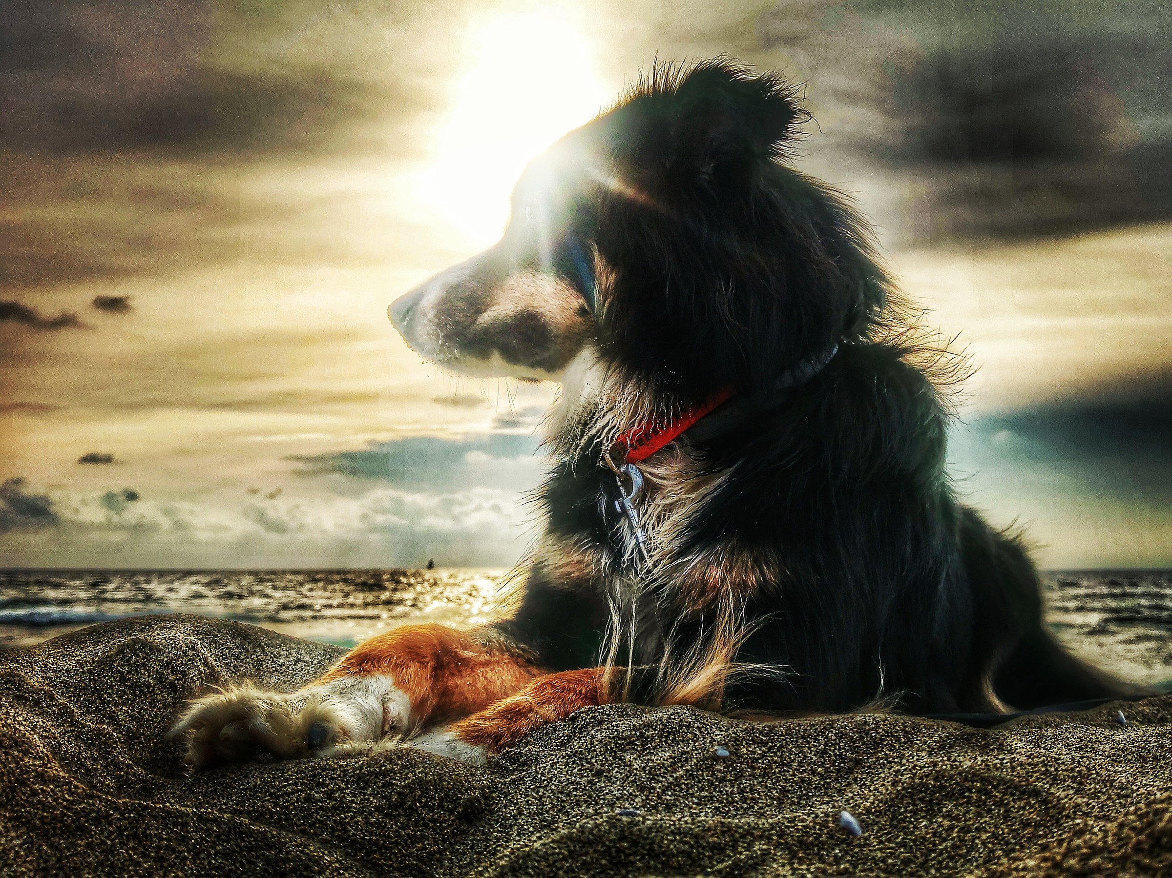 Volutamente eccessiva