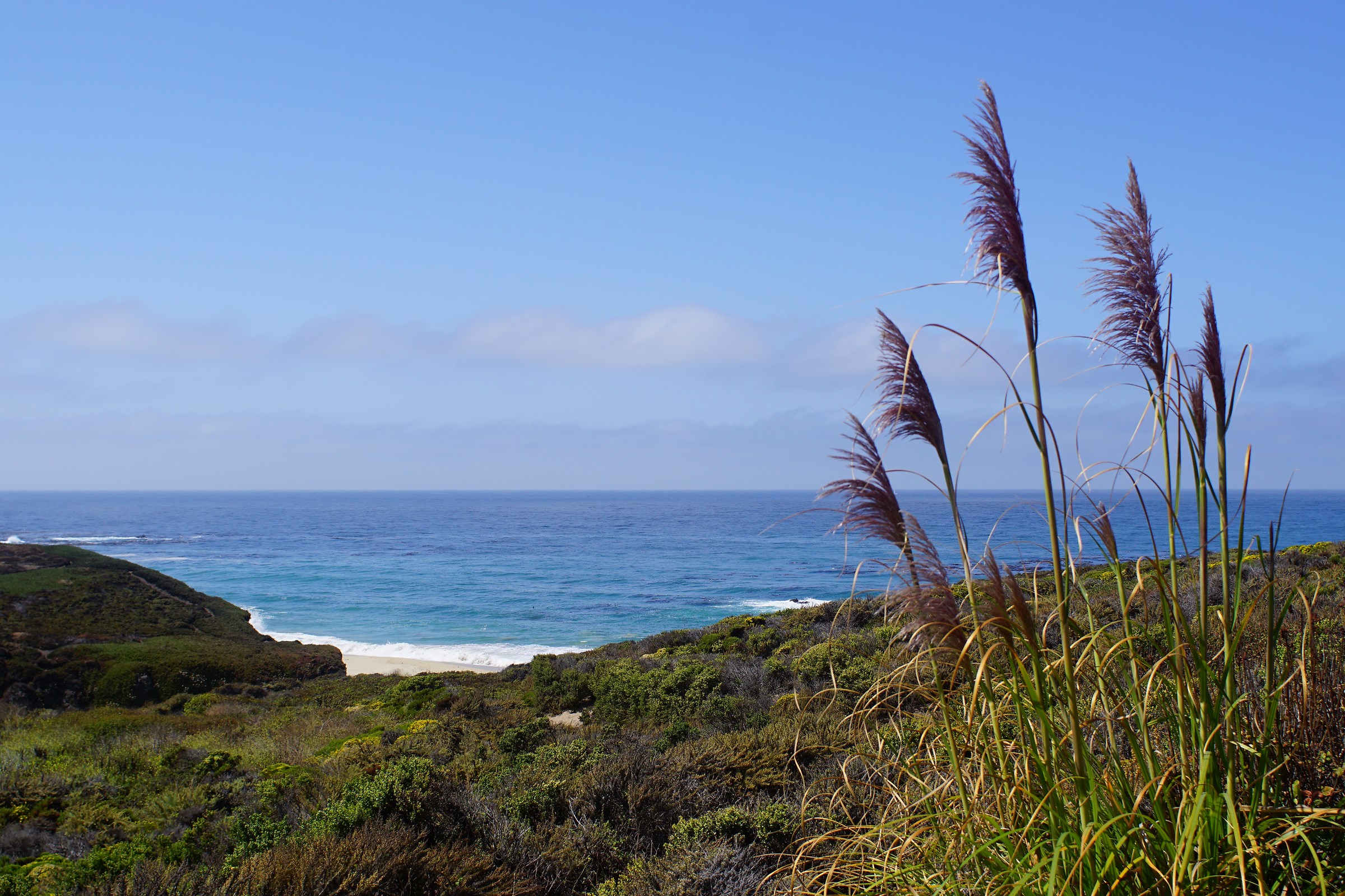 Lavoro gita di un giorno al mare