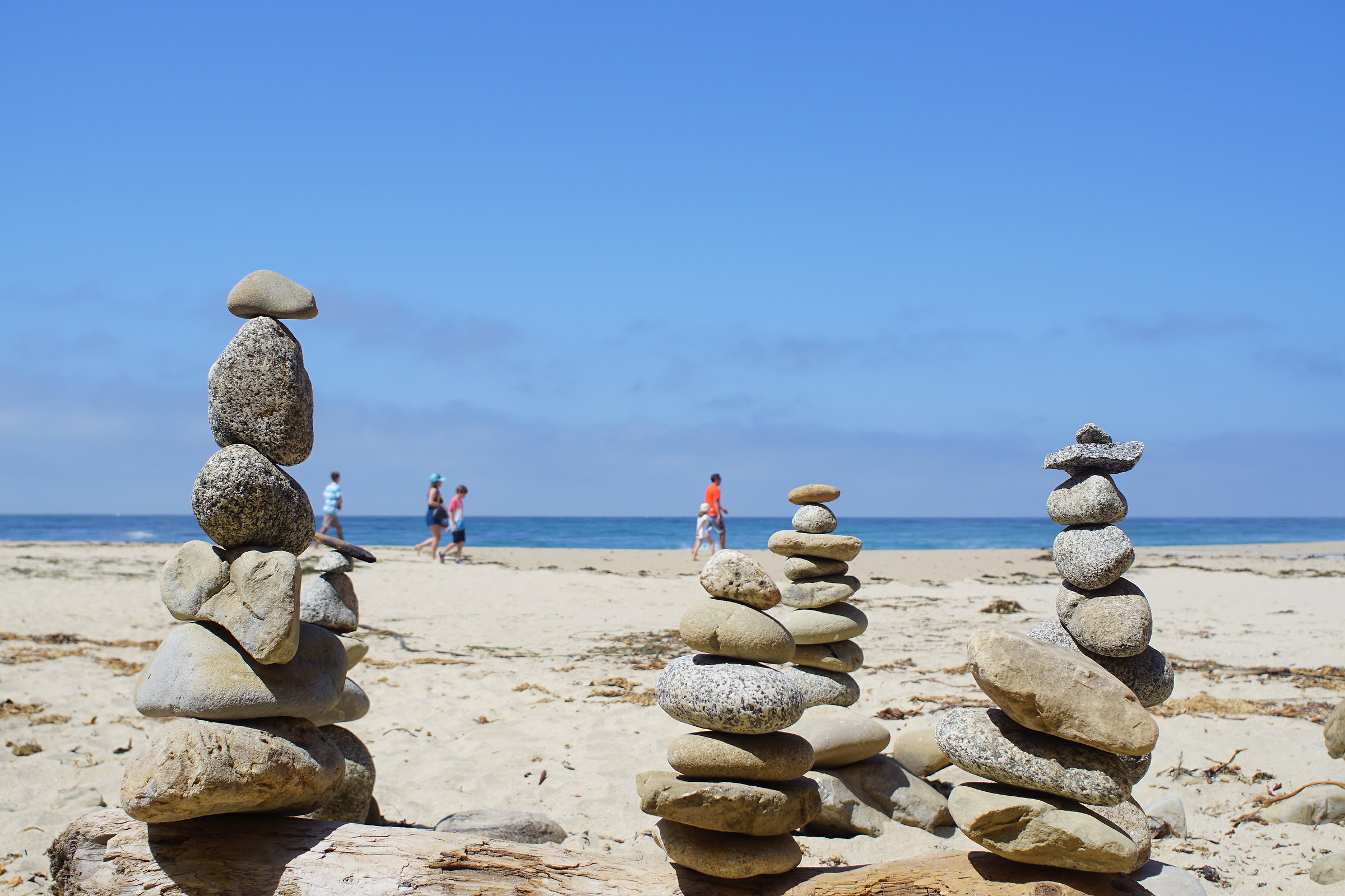 Stoners check-out gli esseri umani