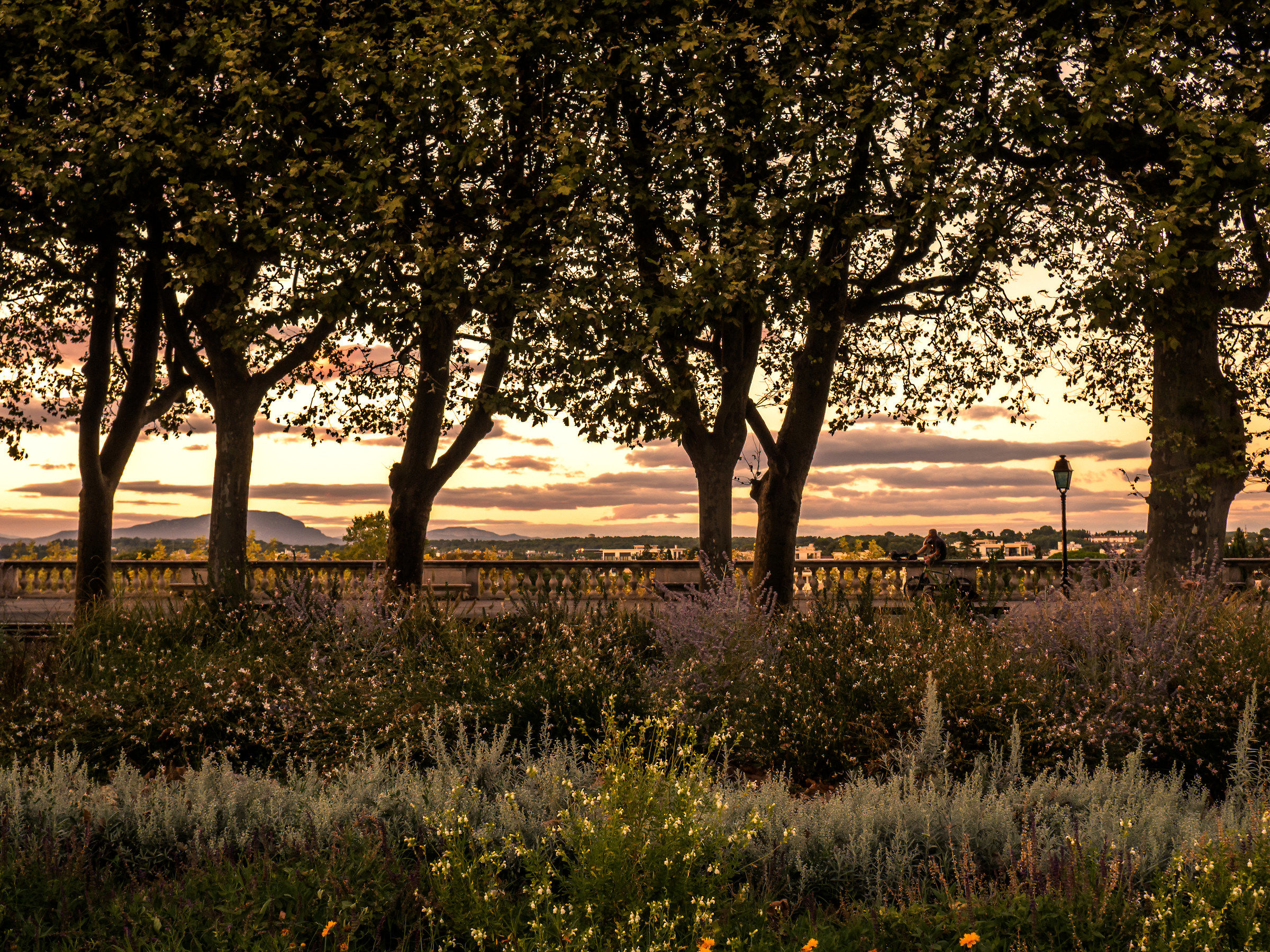 Montpellier at sunset