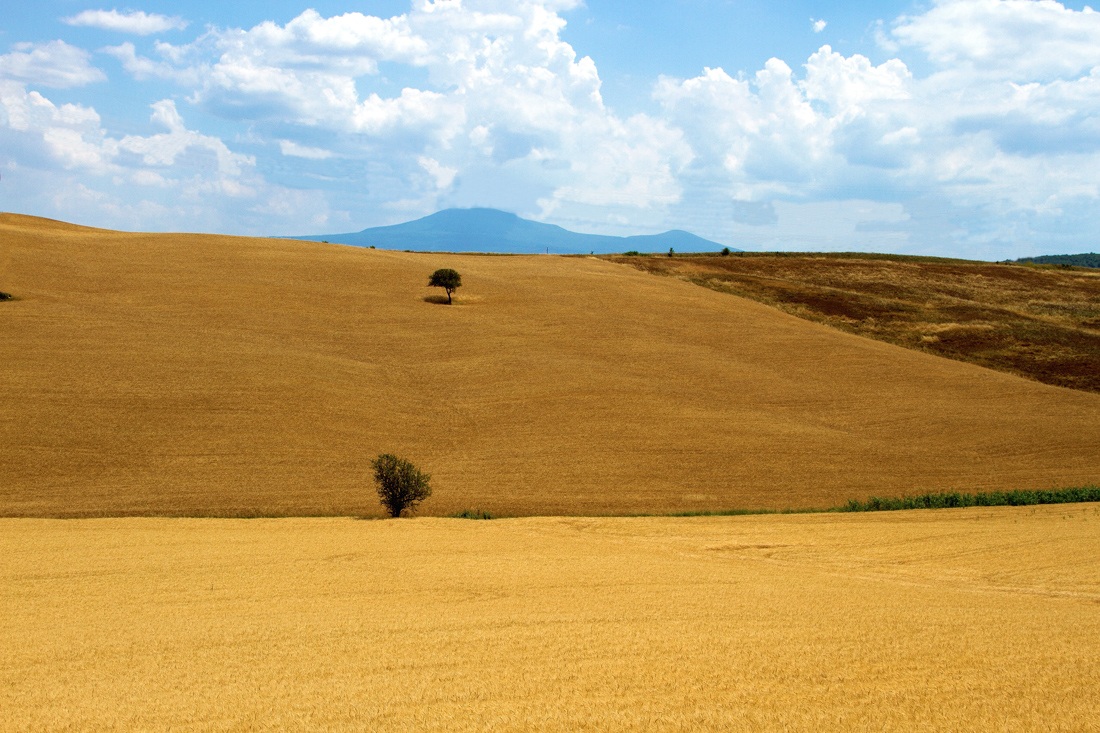 Splendida val d'Orcia