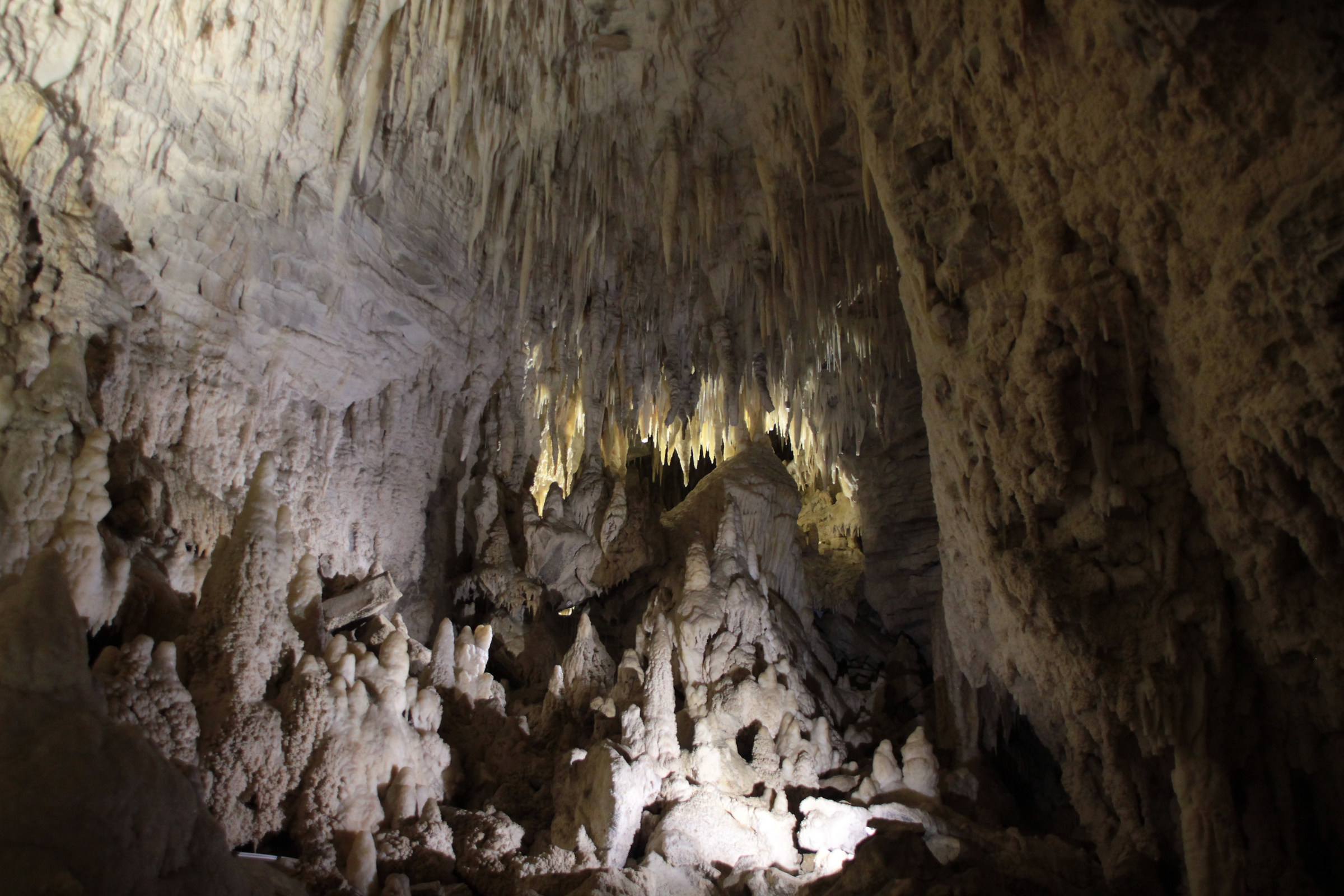 Waitomo Caves