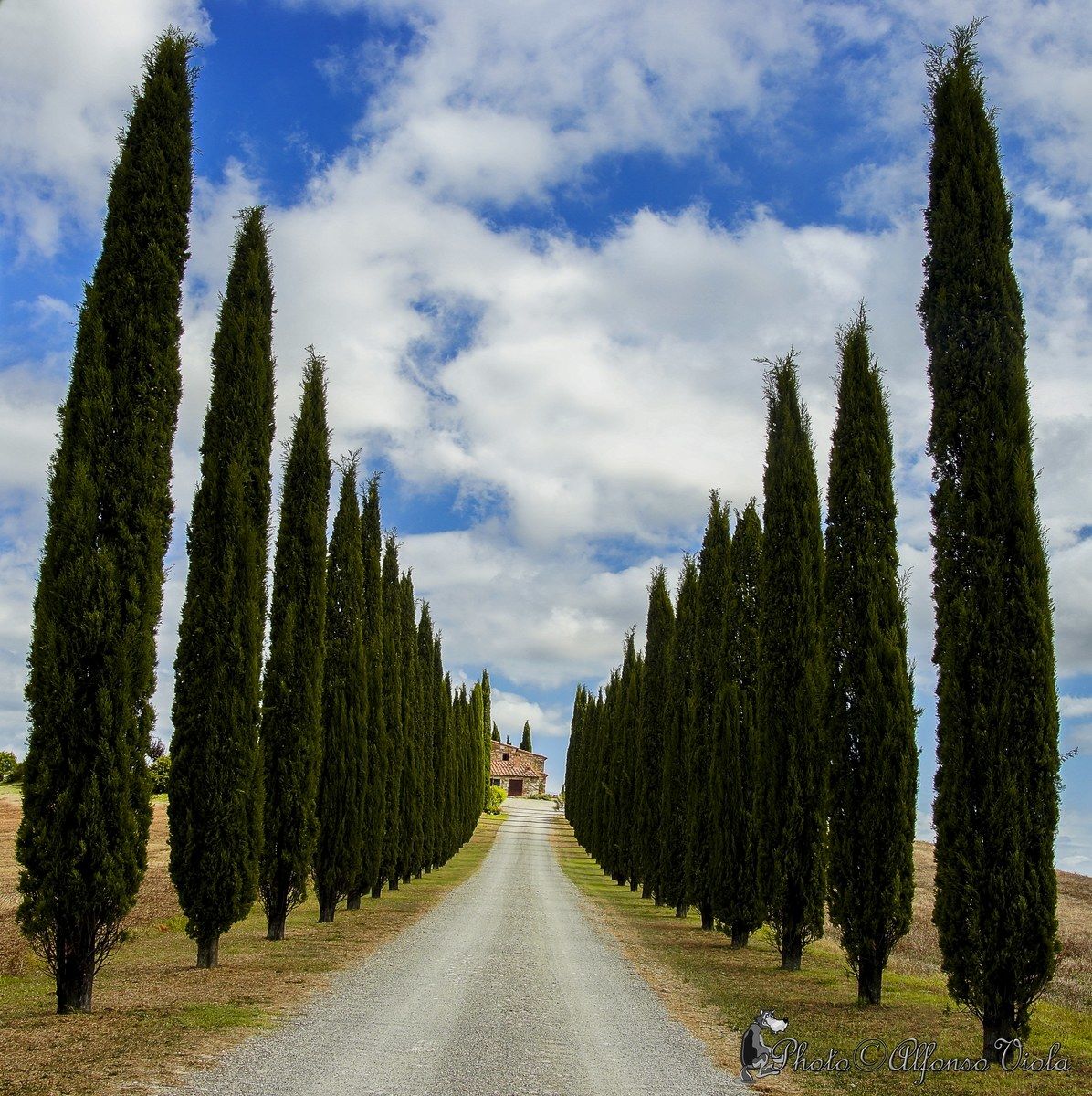 Poggio Covilli Avenue