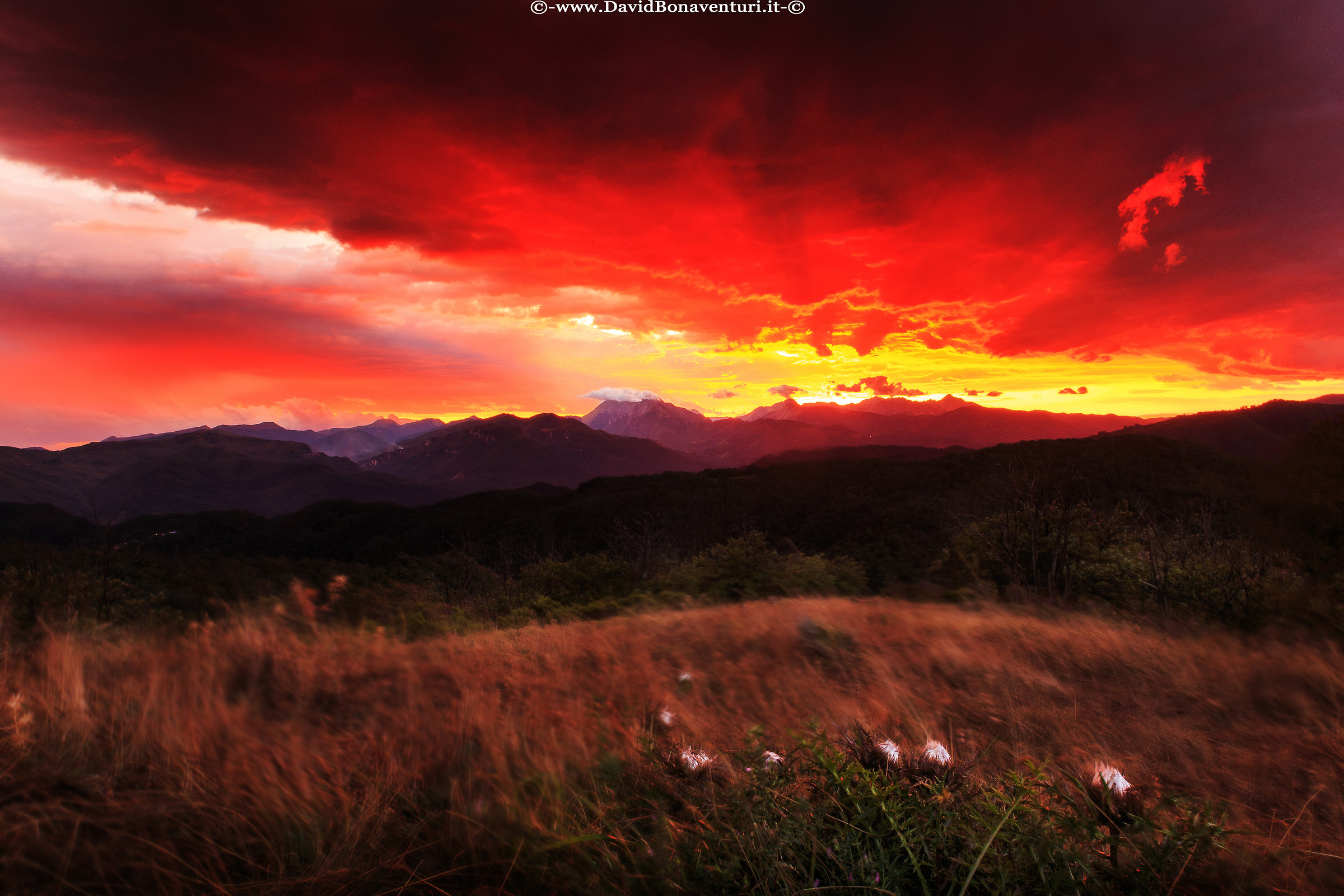 "After the Storm ...... every Heart rejoices"