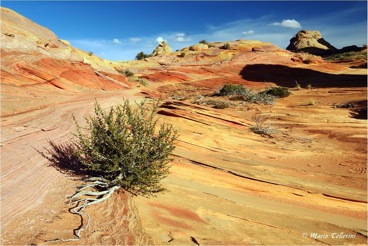 Coyote Buttes 2