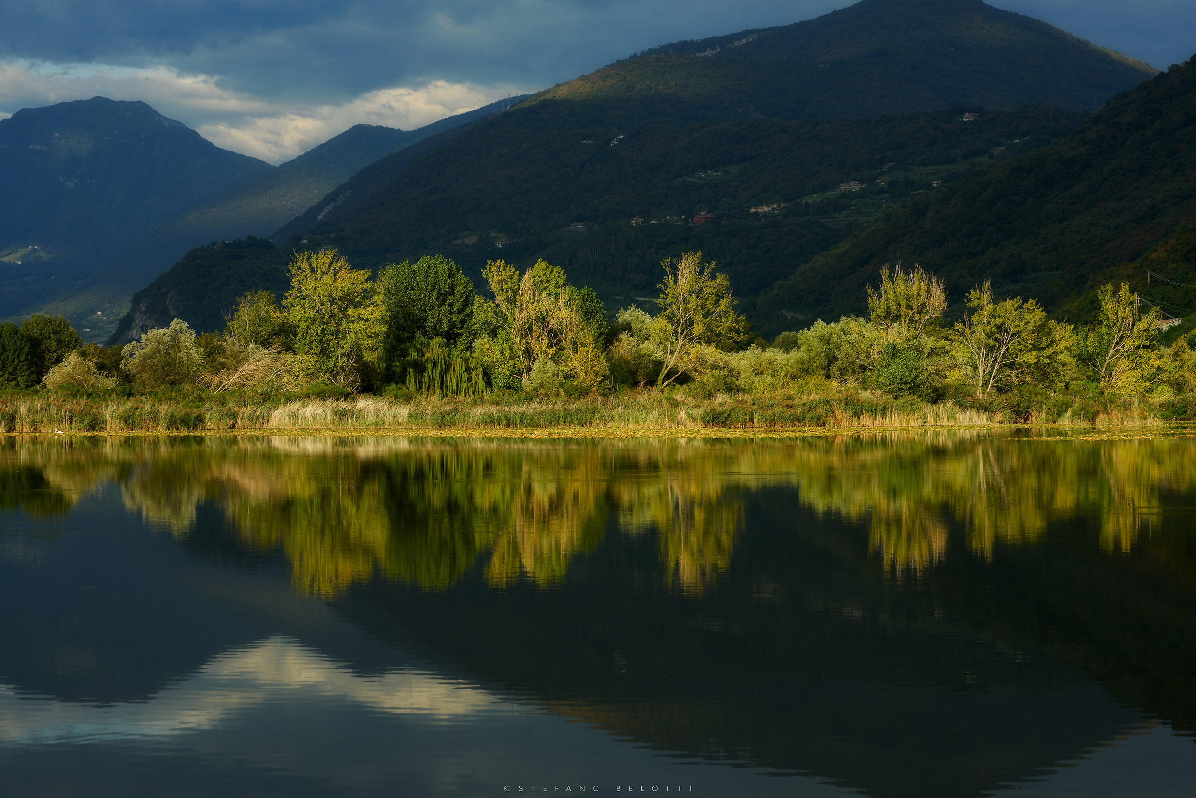 flashes of sunlight to bogs