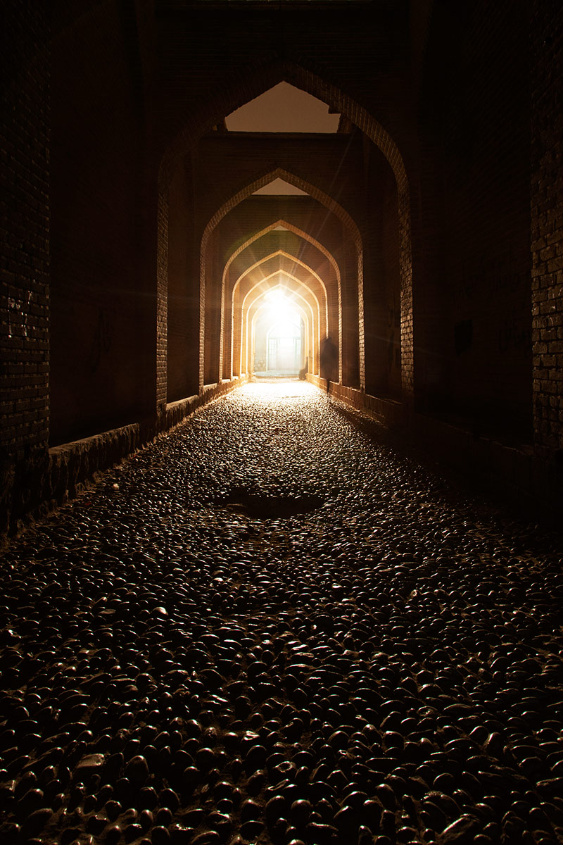 Alla ricerca di Luce