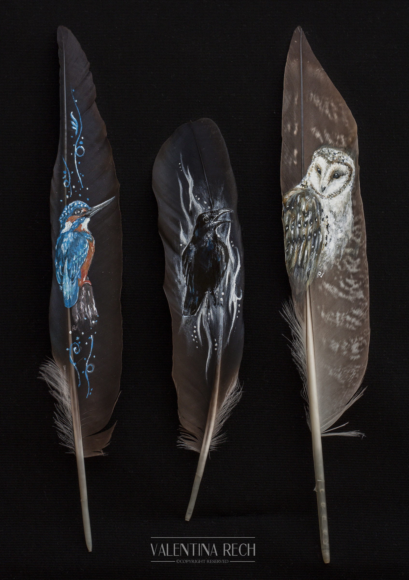 painted feathers