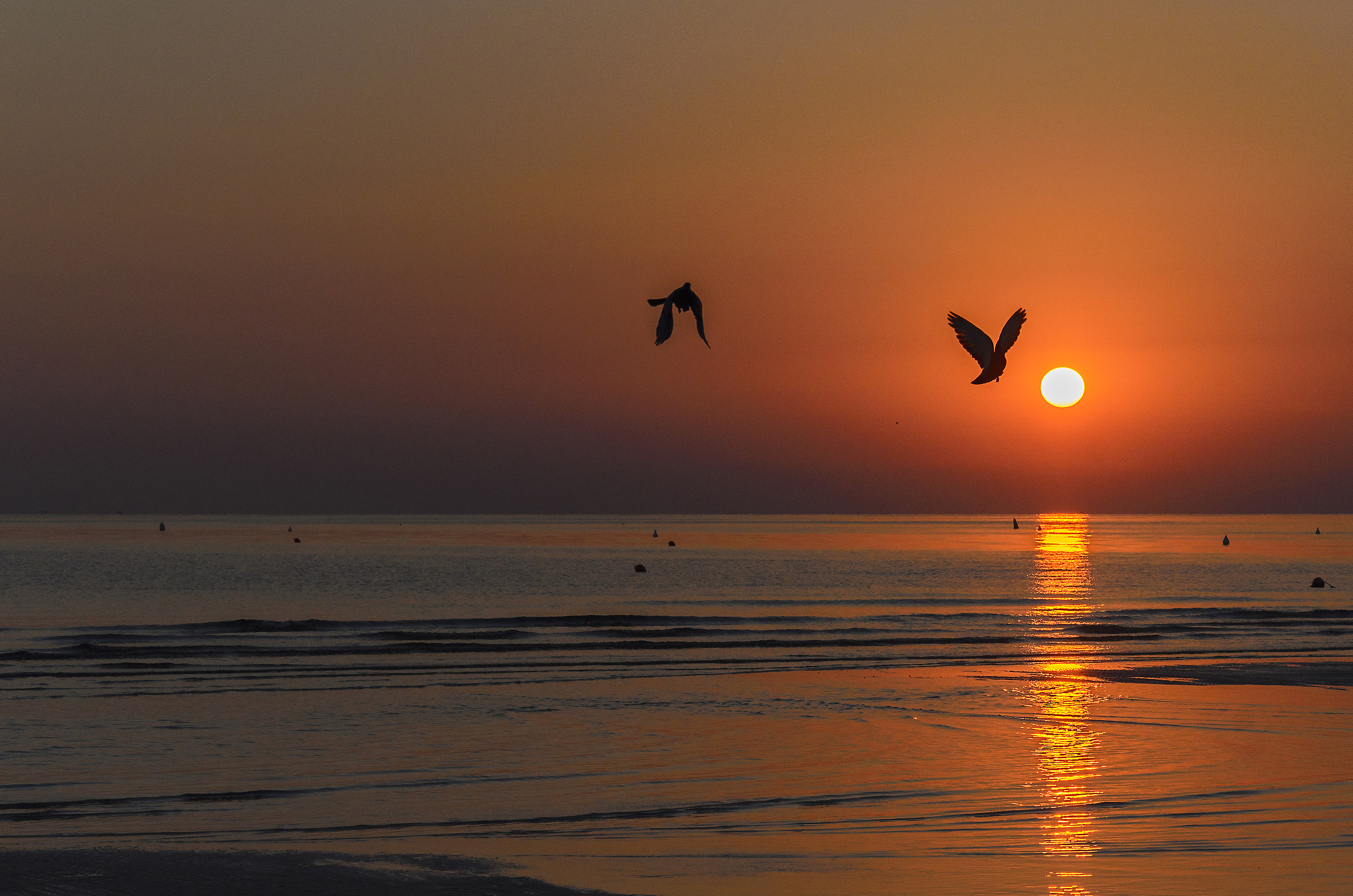 Alba Riccione Luglio 2016