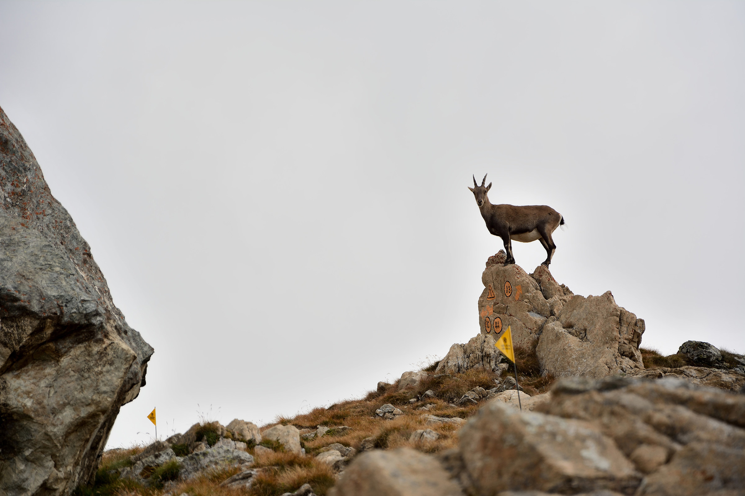 Spectator to trail 4k