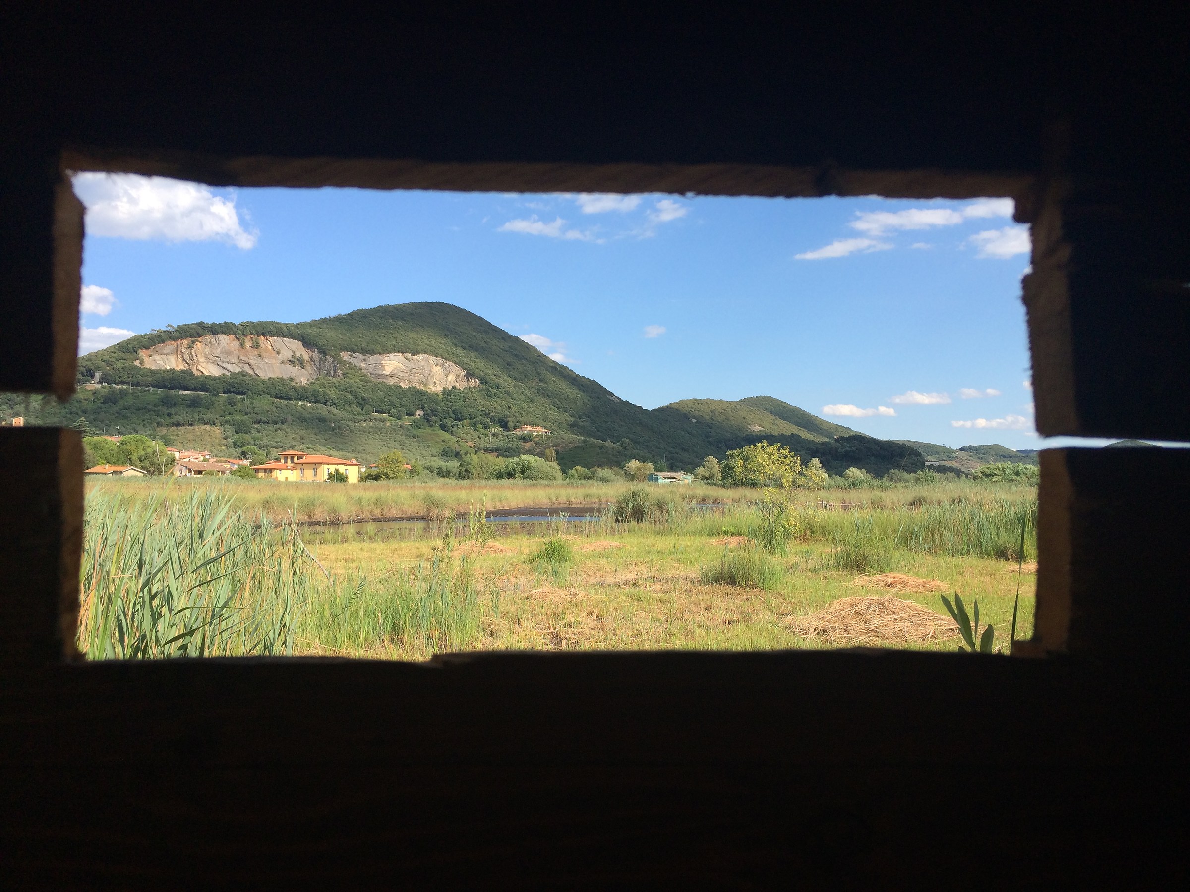 Massarosa-Oasis lipu