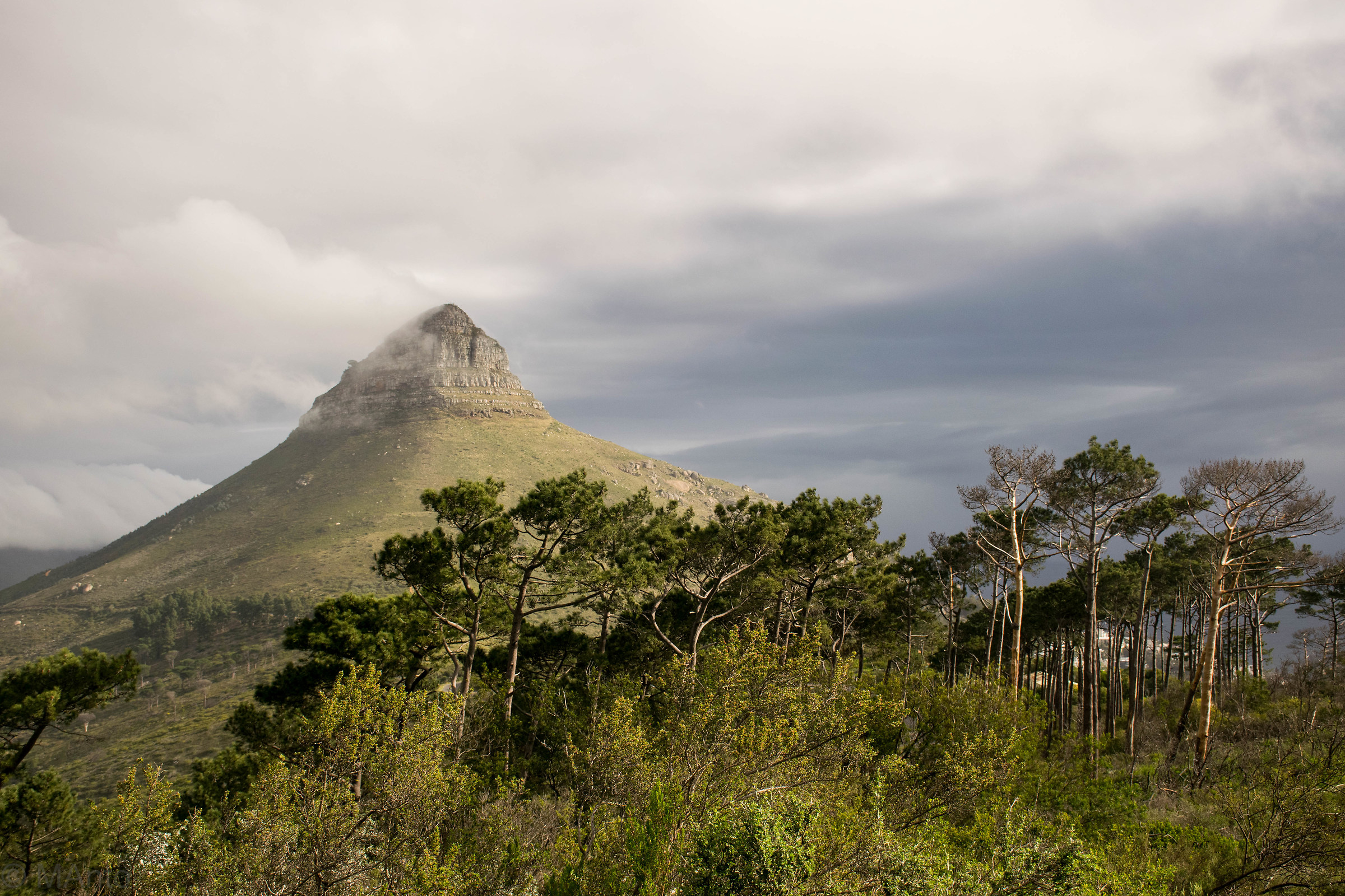 Paesaggio fuori Città del Capo