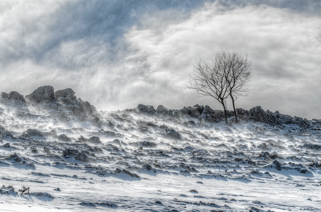 Two against the storm