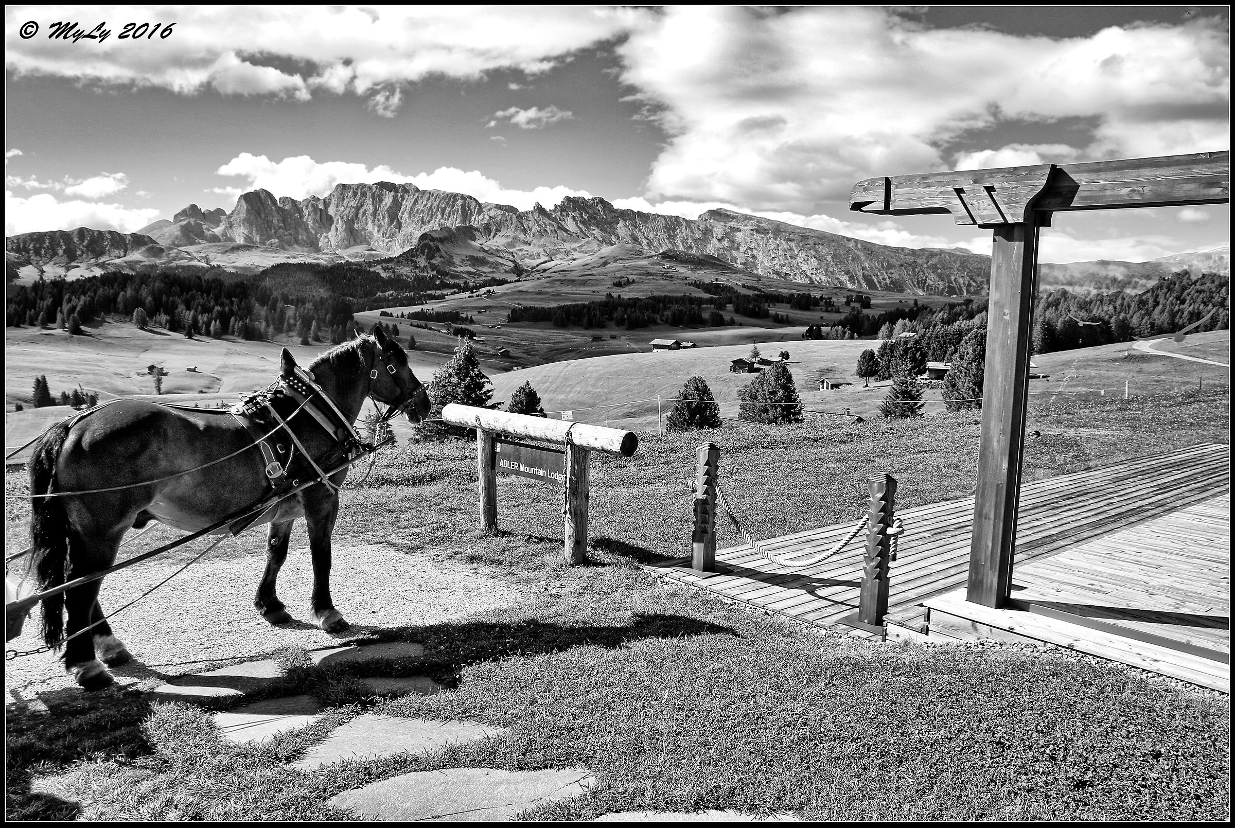 Welcome to the ranch