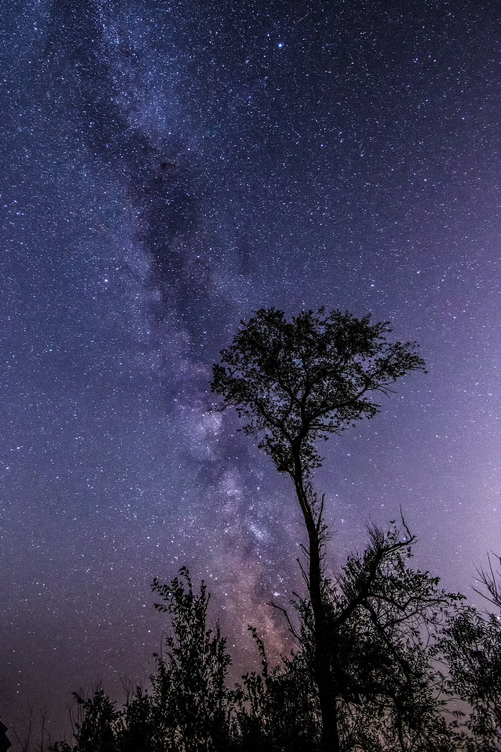 Milky way in Caorle