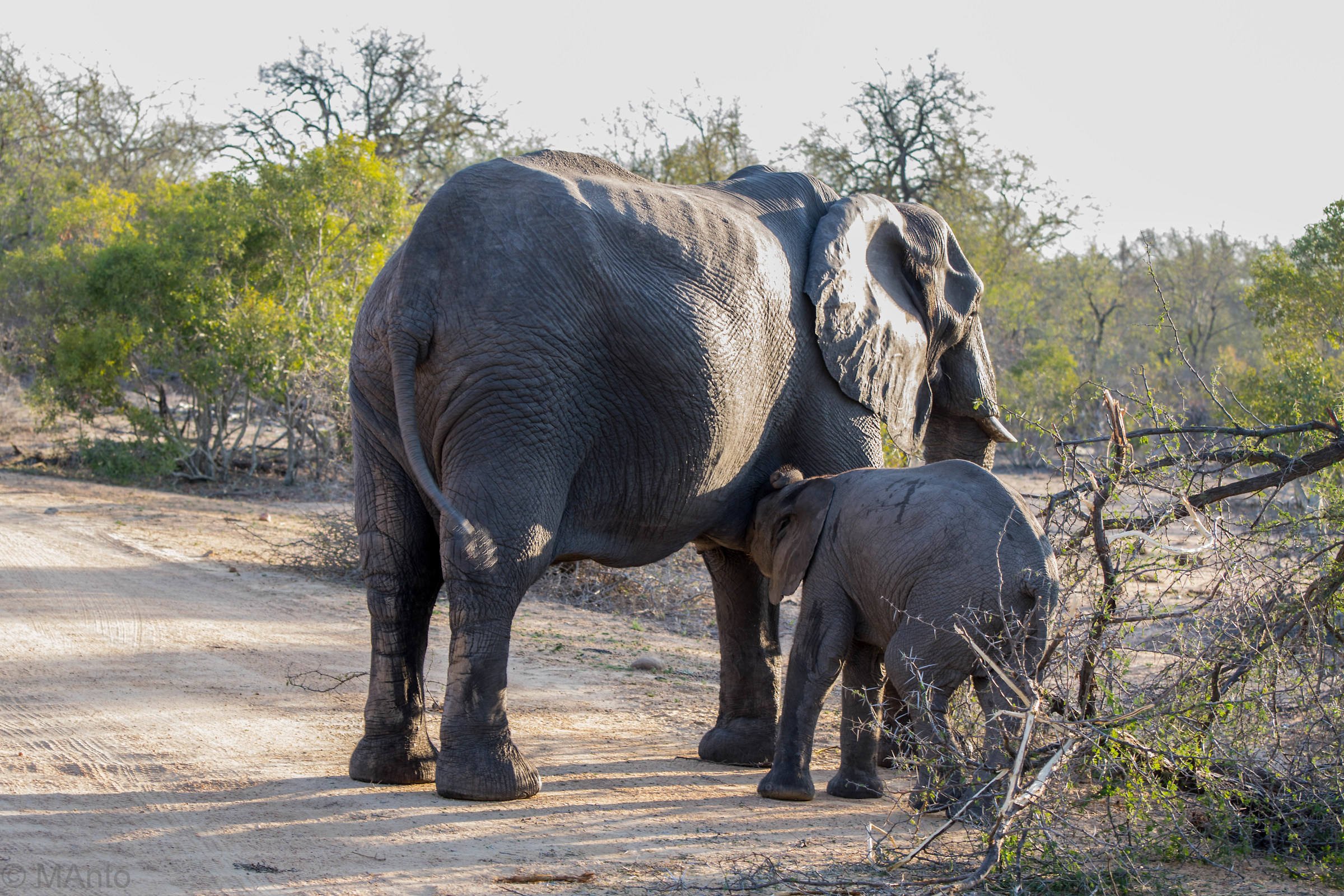 Happy hour con mamma