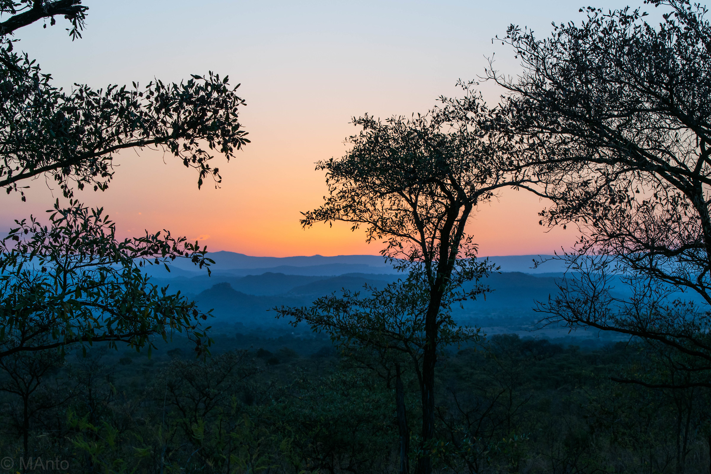 Luci ed ombre nel bush