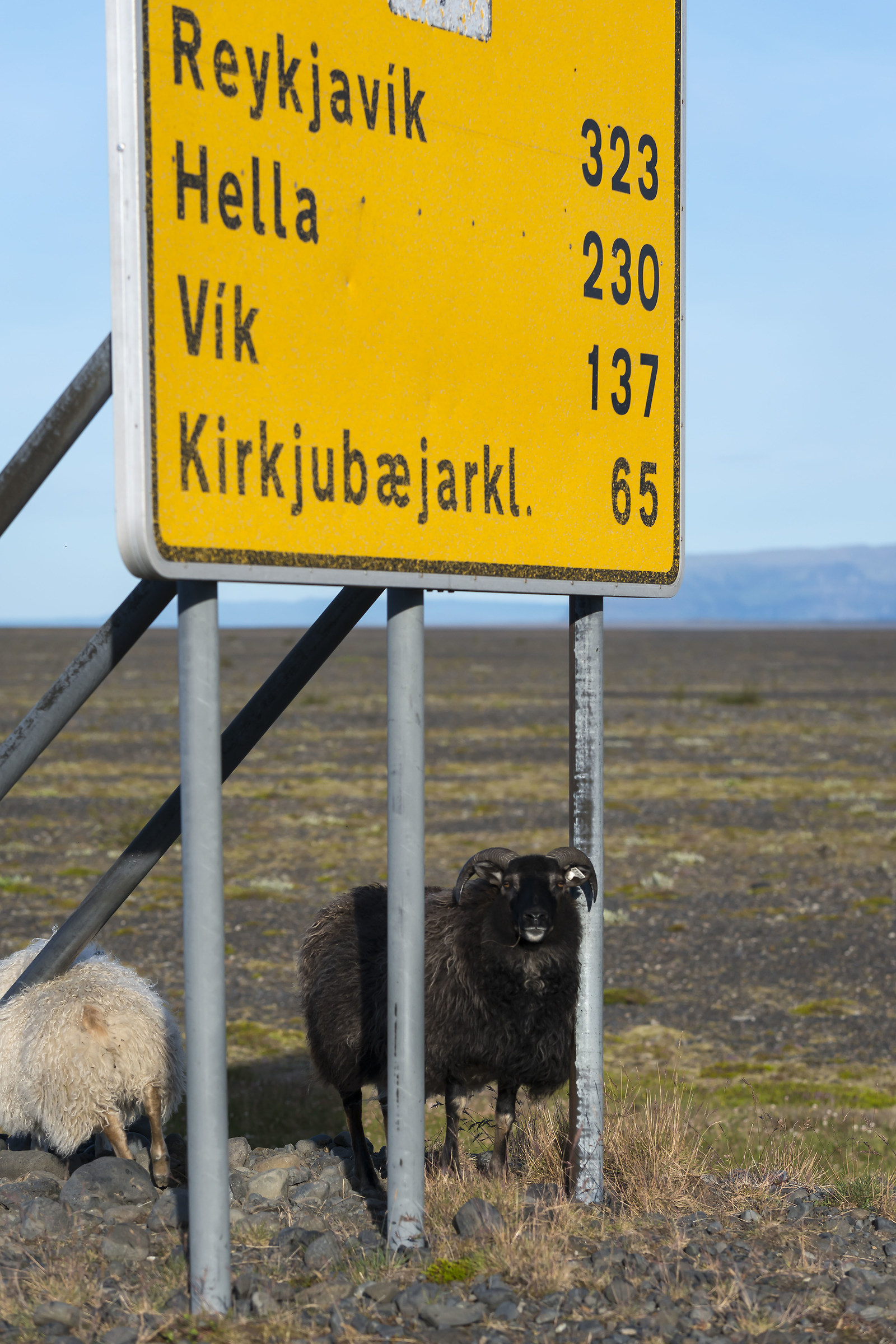 road to Reykjavik
