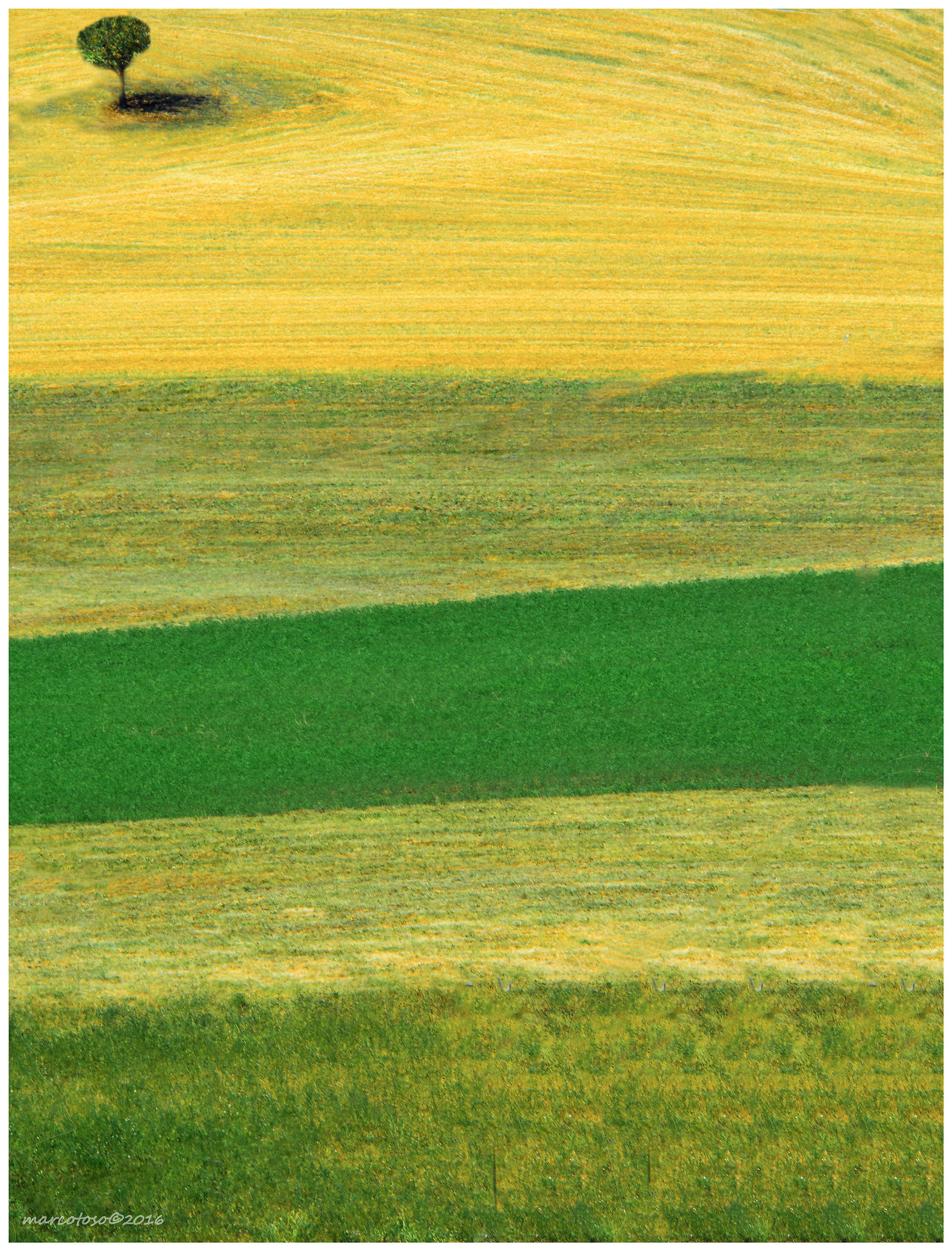 Colori del Monferrato