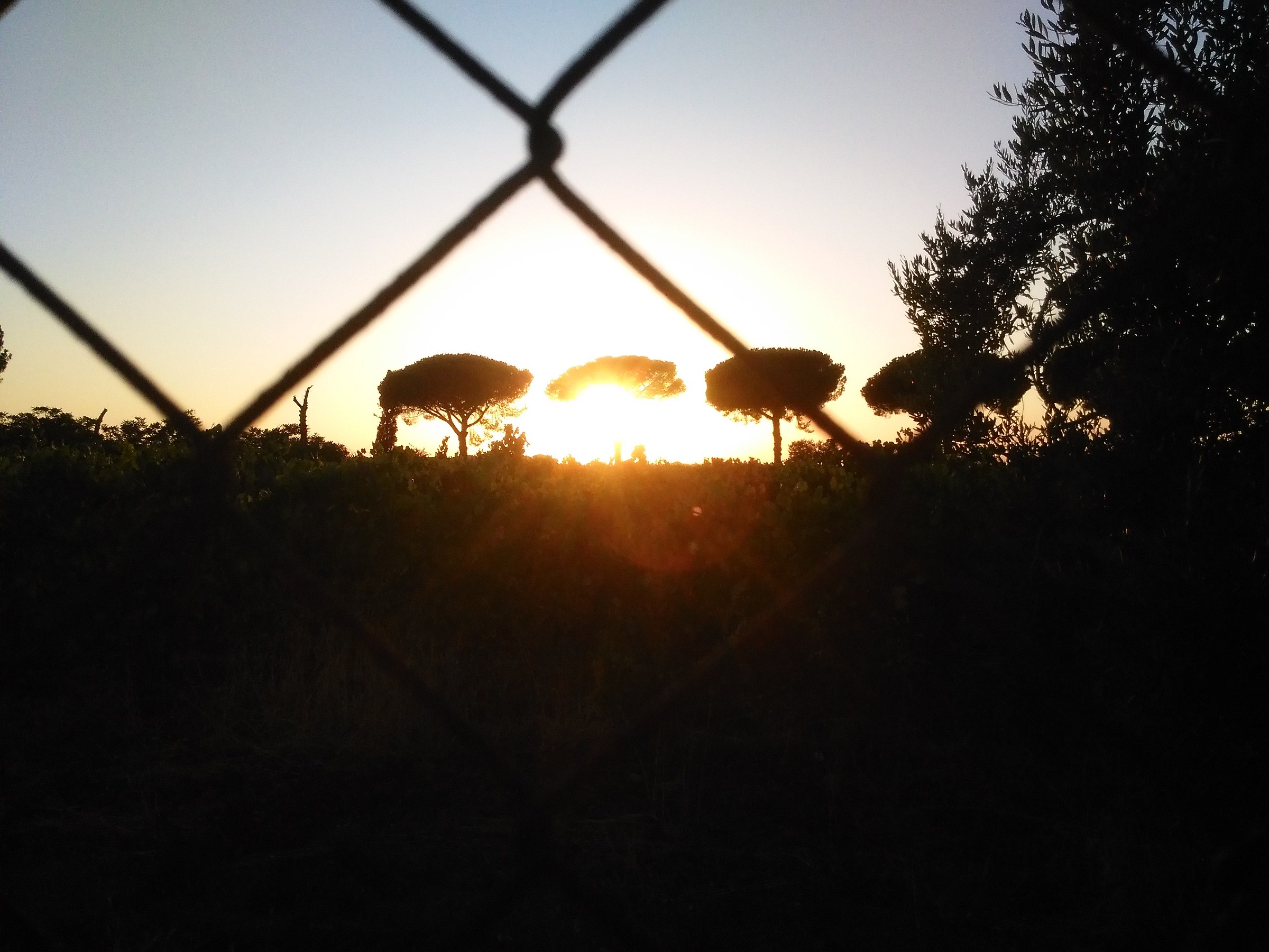 Tramonto imprigionato 1