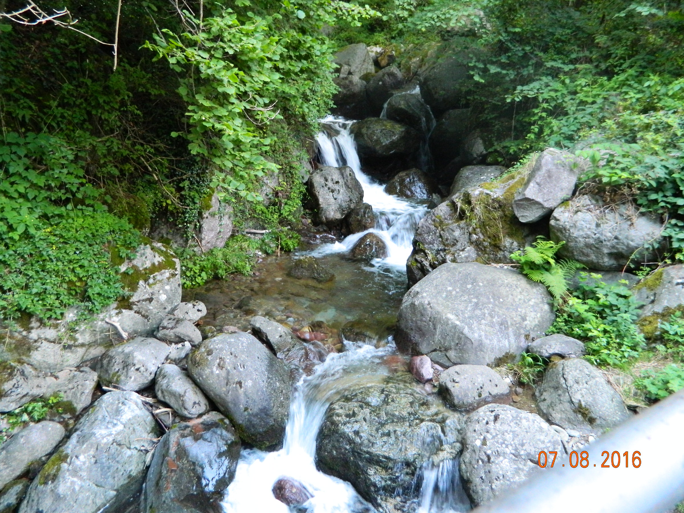 Small stream in the woods