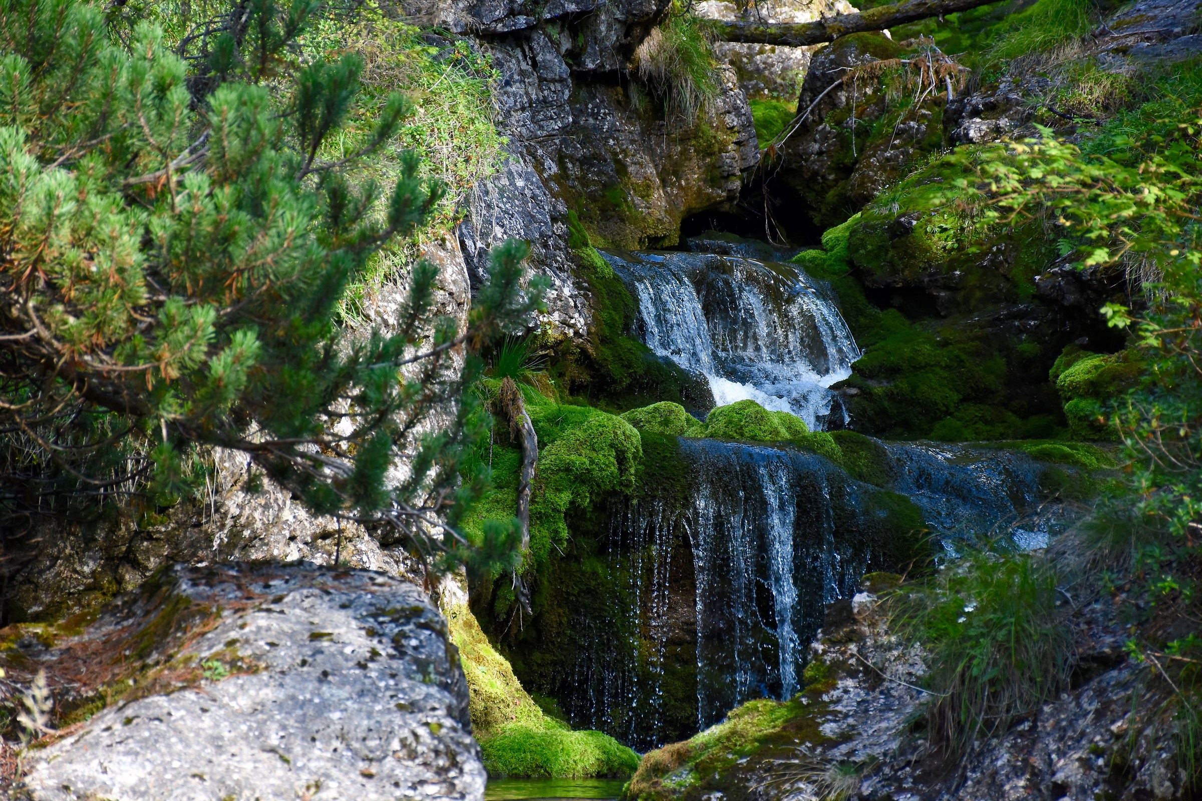 low waterfalls, Brentei, Dolomites, Trentino