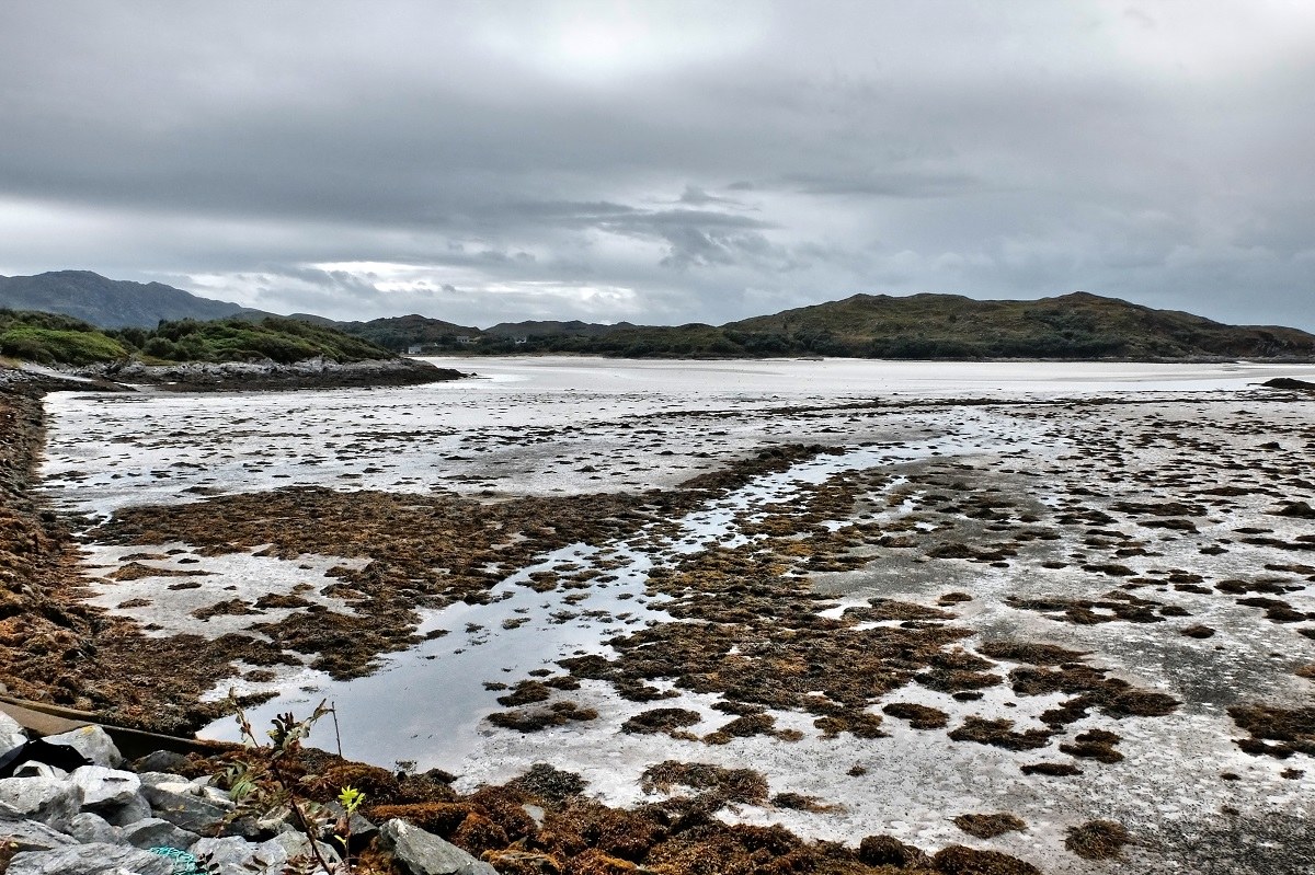 scottish low tide