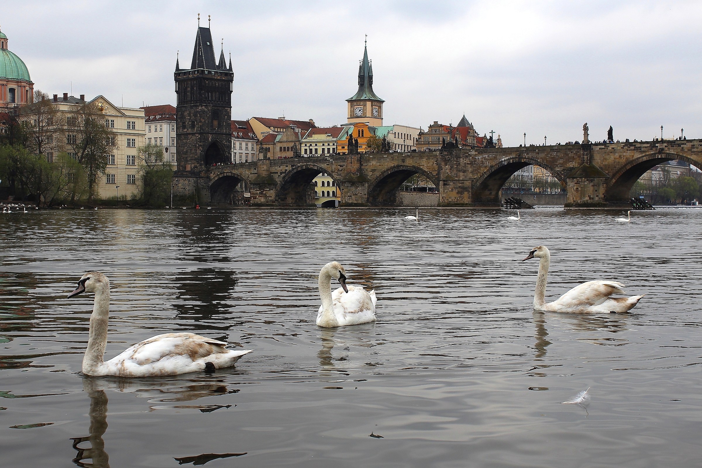 Eterna tranquillità