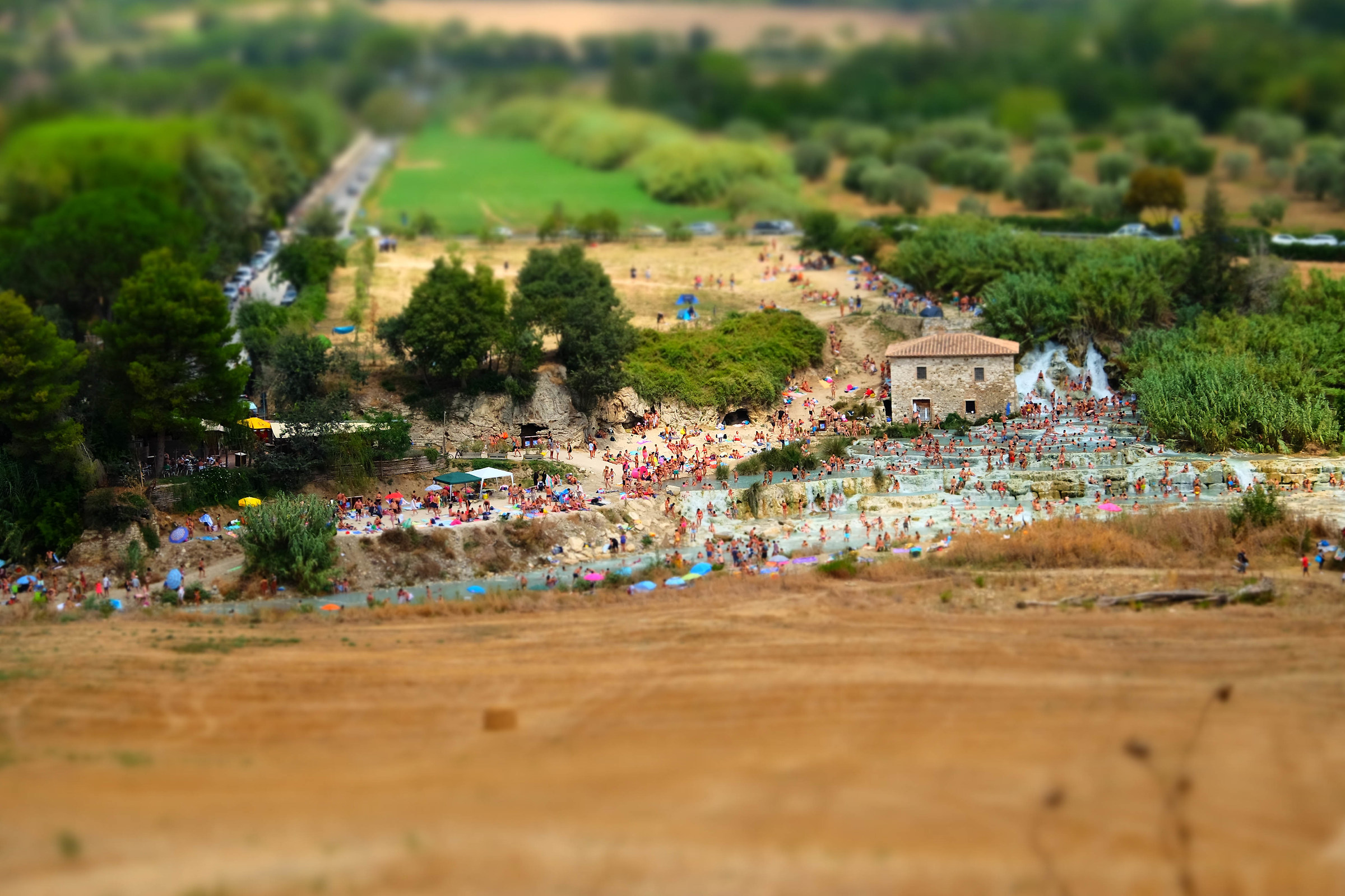The Mob of people painted Saturnia