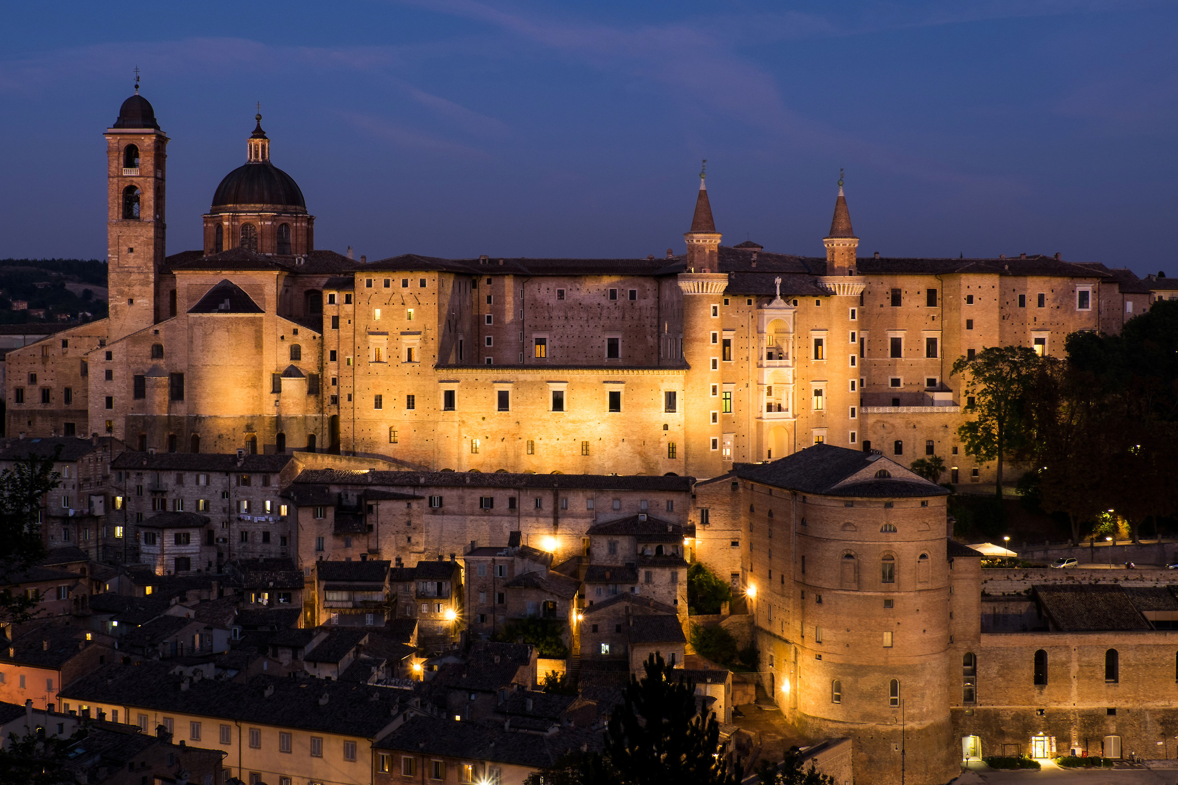 Urbino