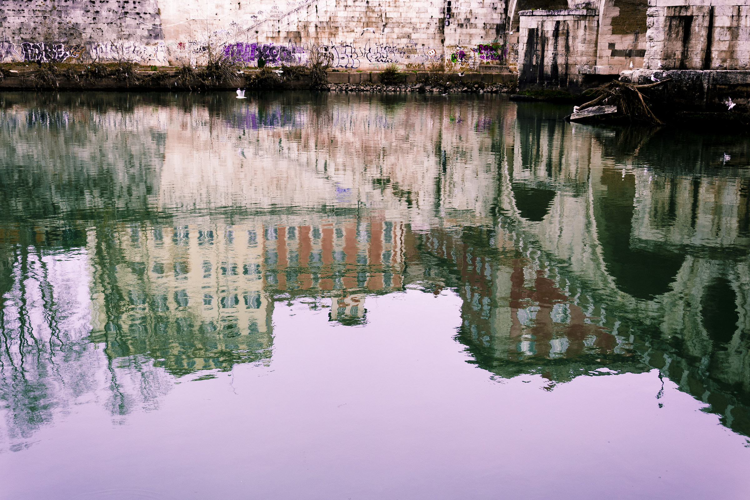 Roman reflections
