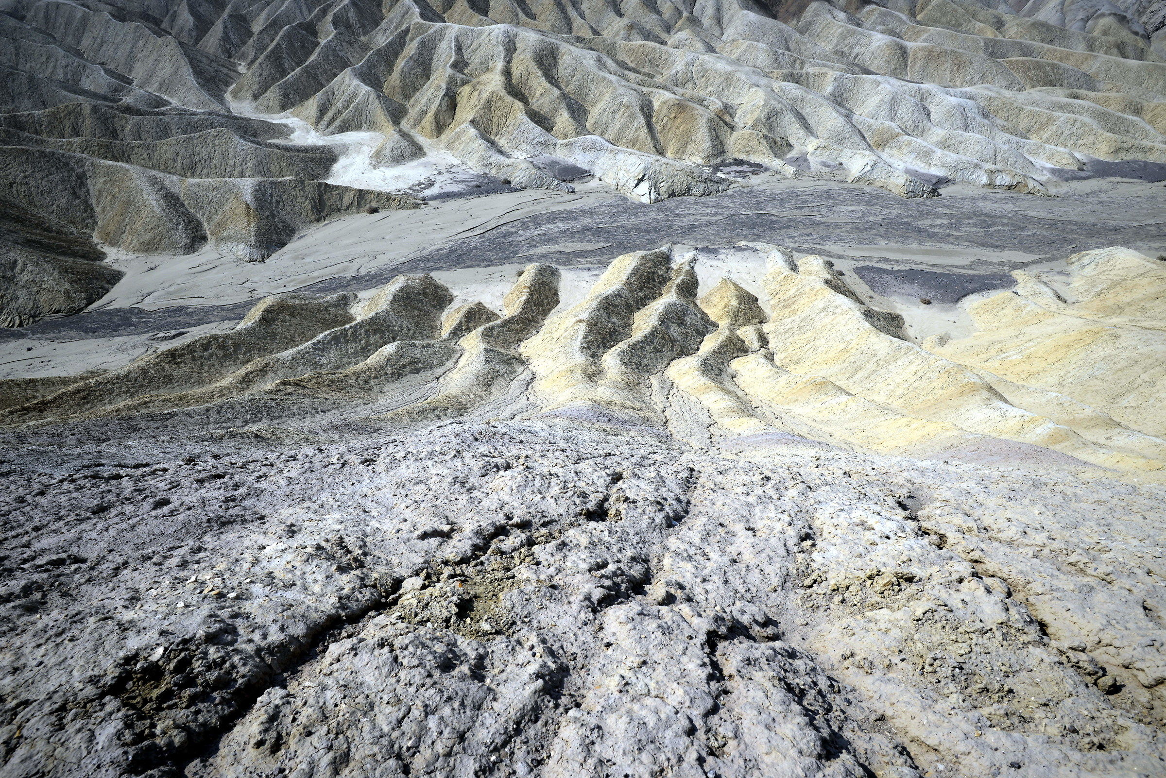 2050, il pianeta arido