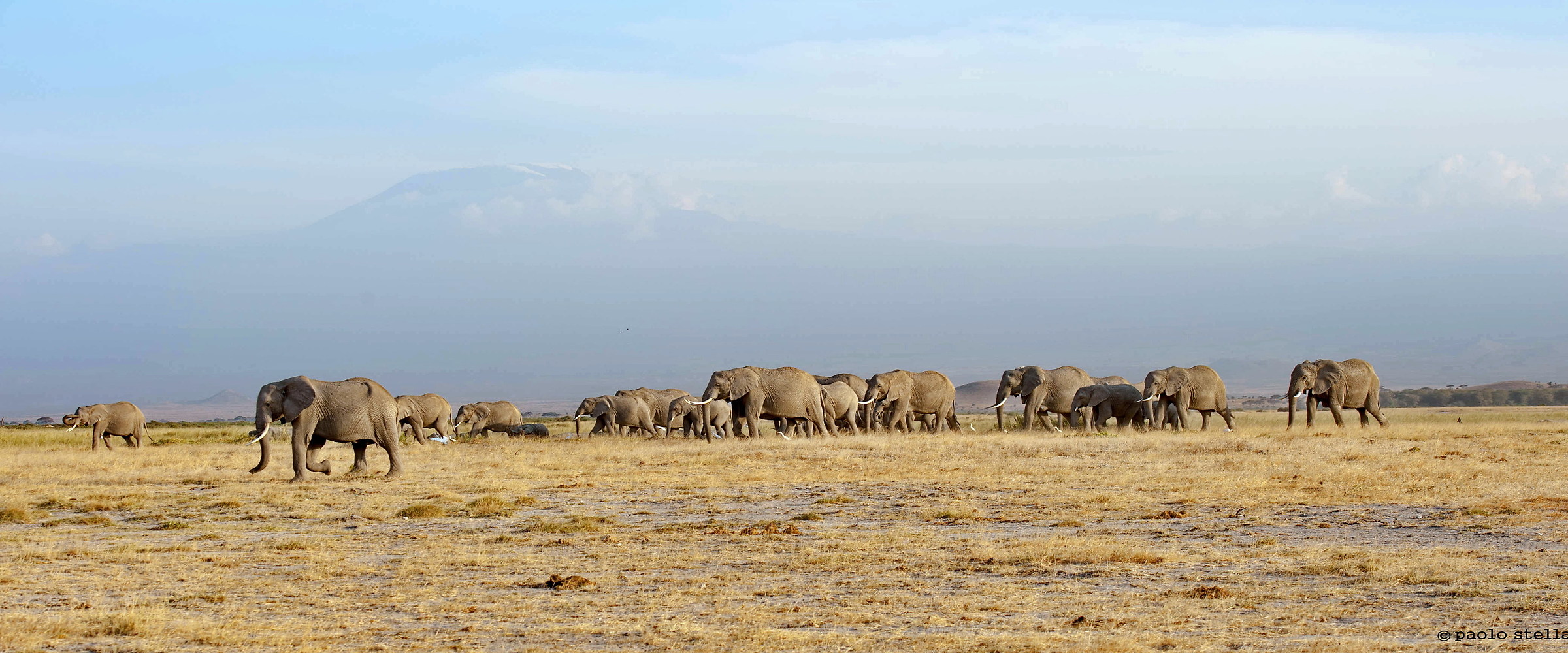 Amboseli , vista sul Kilimangiaro