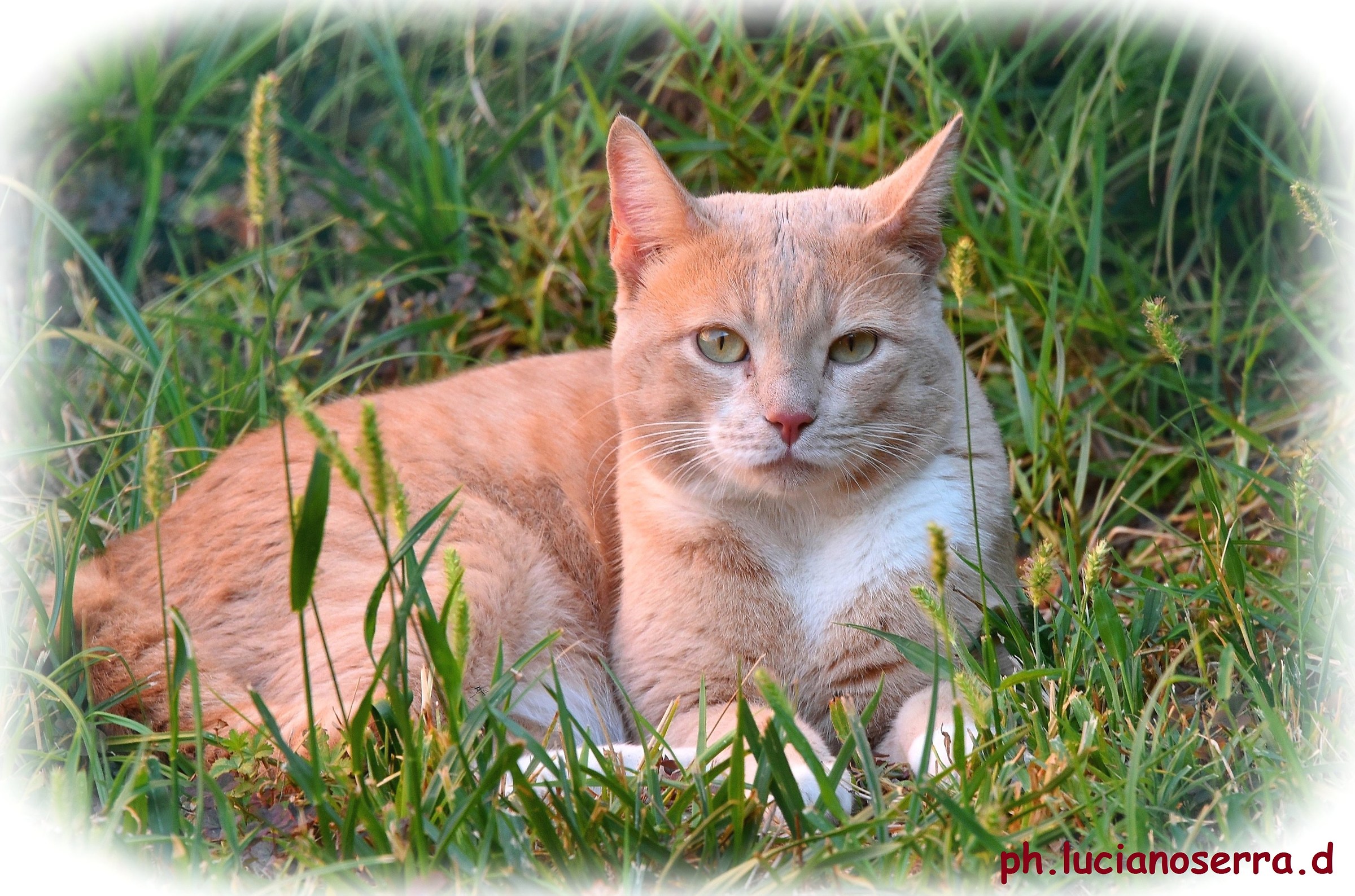 A new "near" home ...