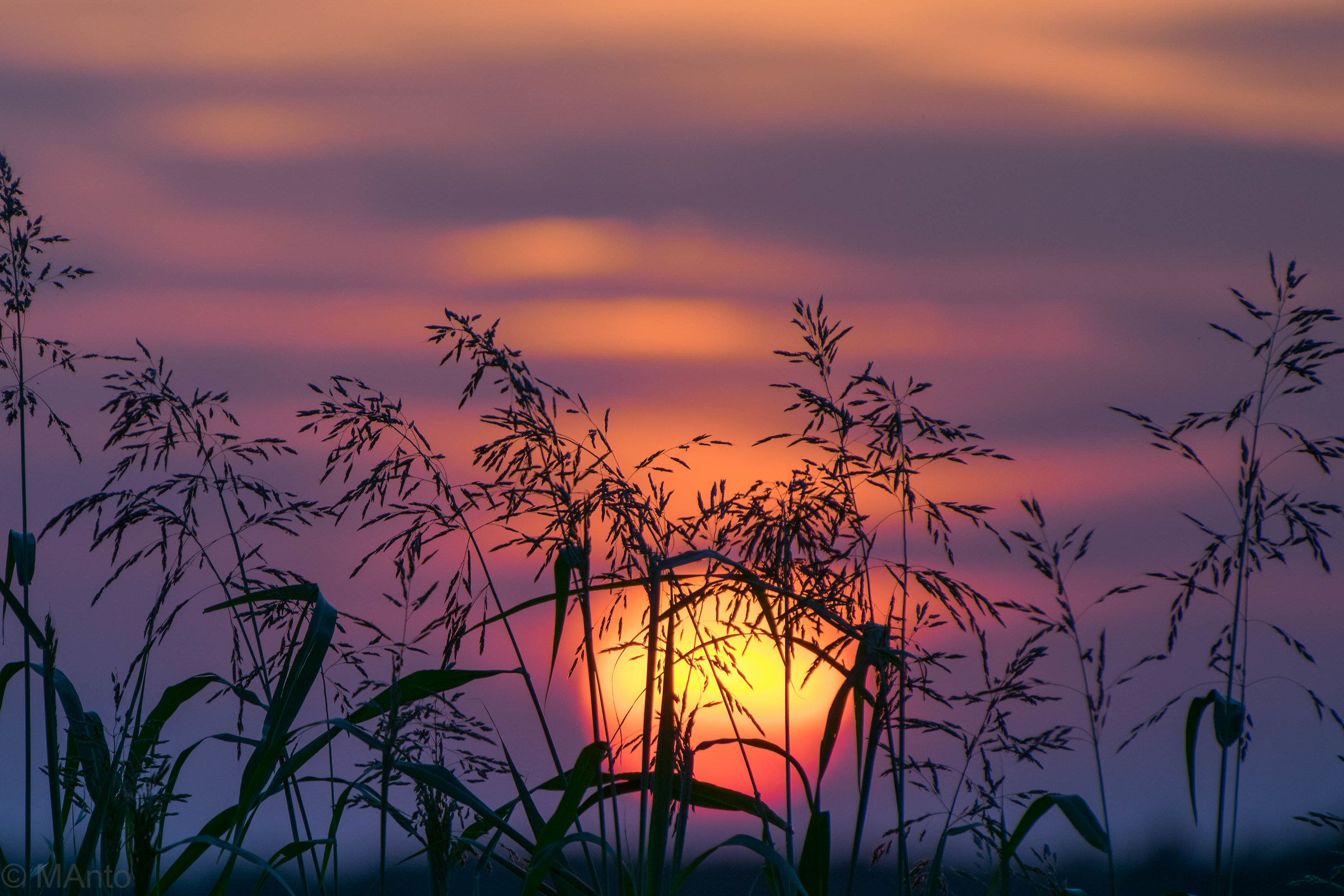 sunset in the countryside of Ferrara