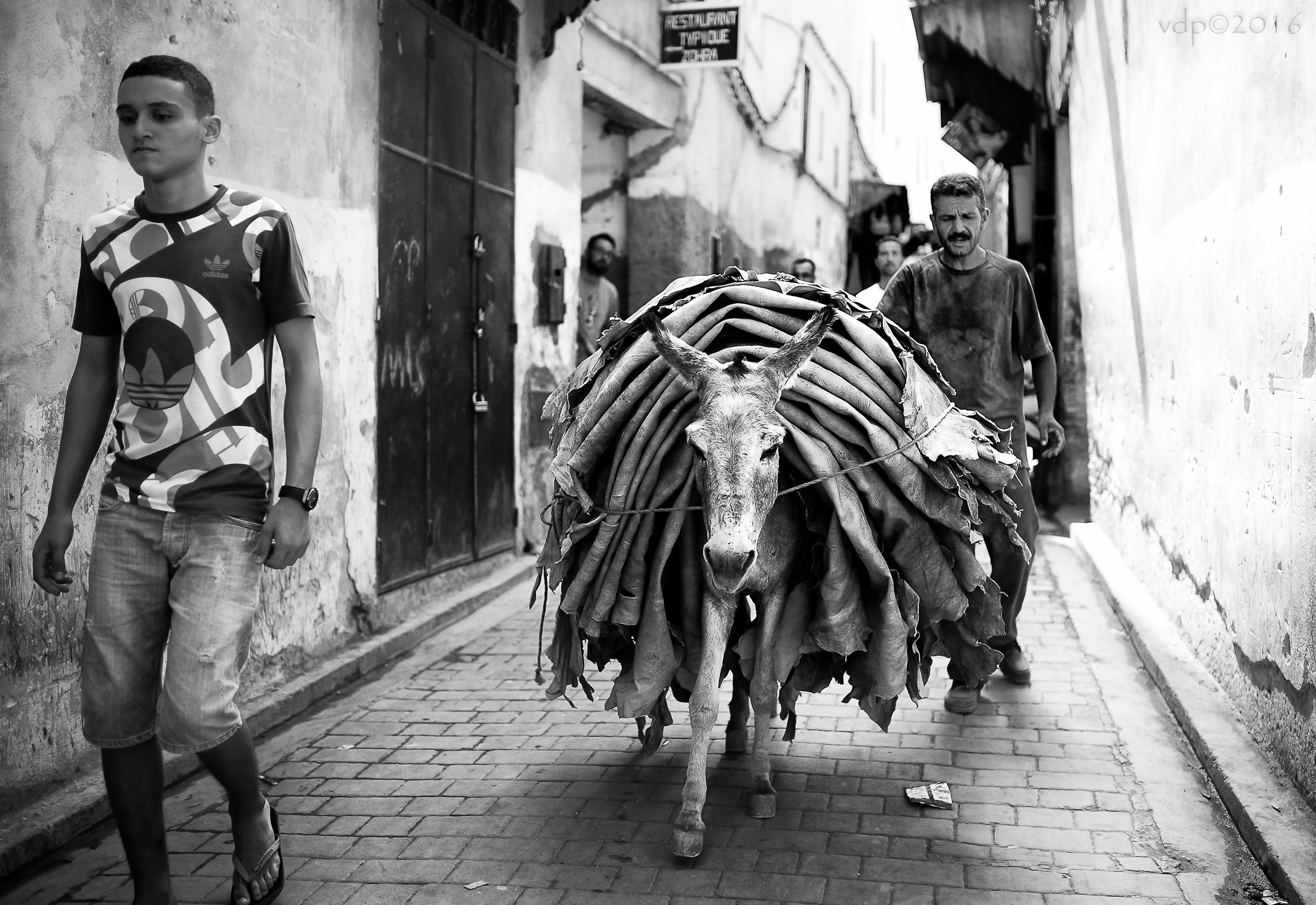 To the tanneries of Fez