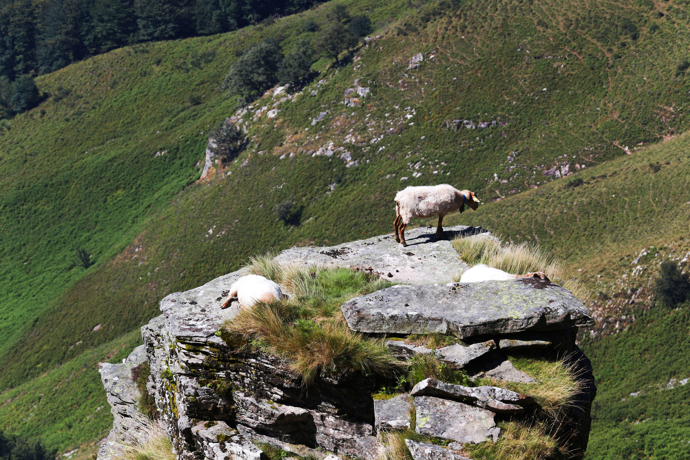 And now as I return to the valley ???