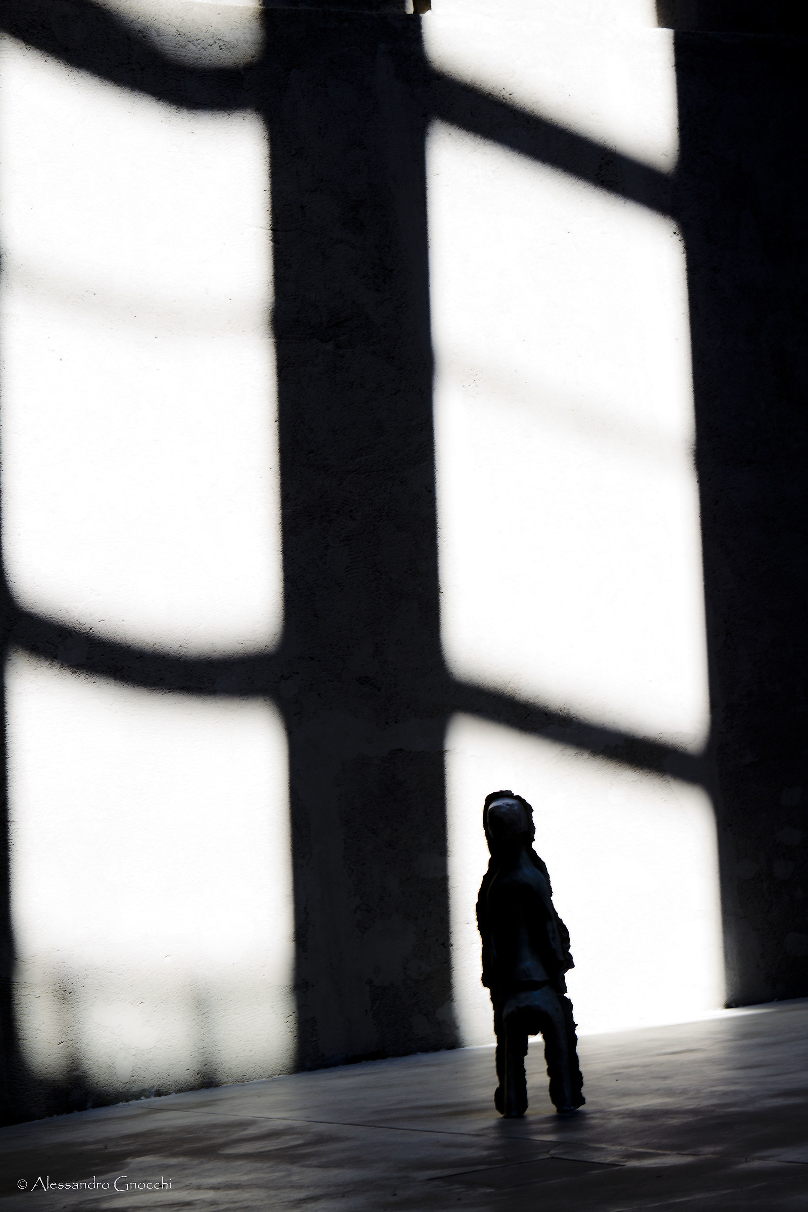 A Portion of the Team Lives in the Heavens