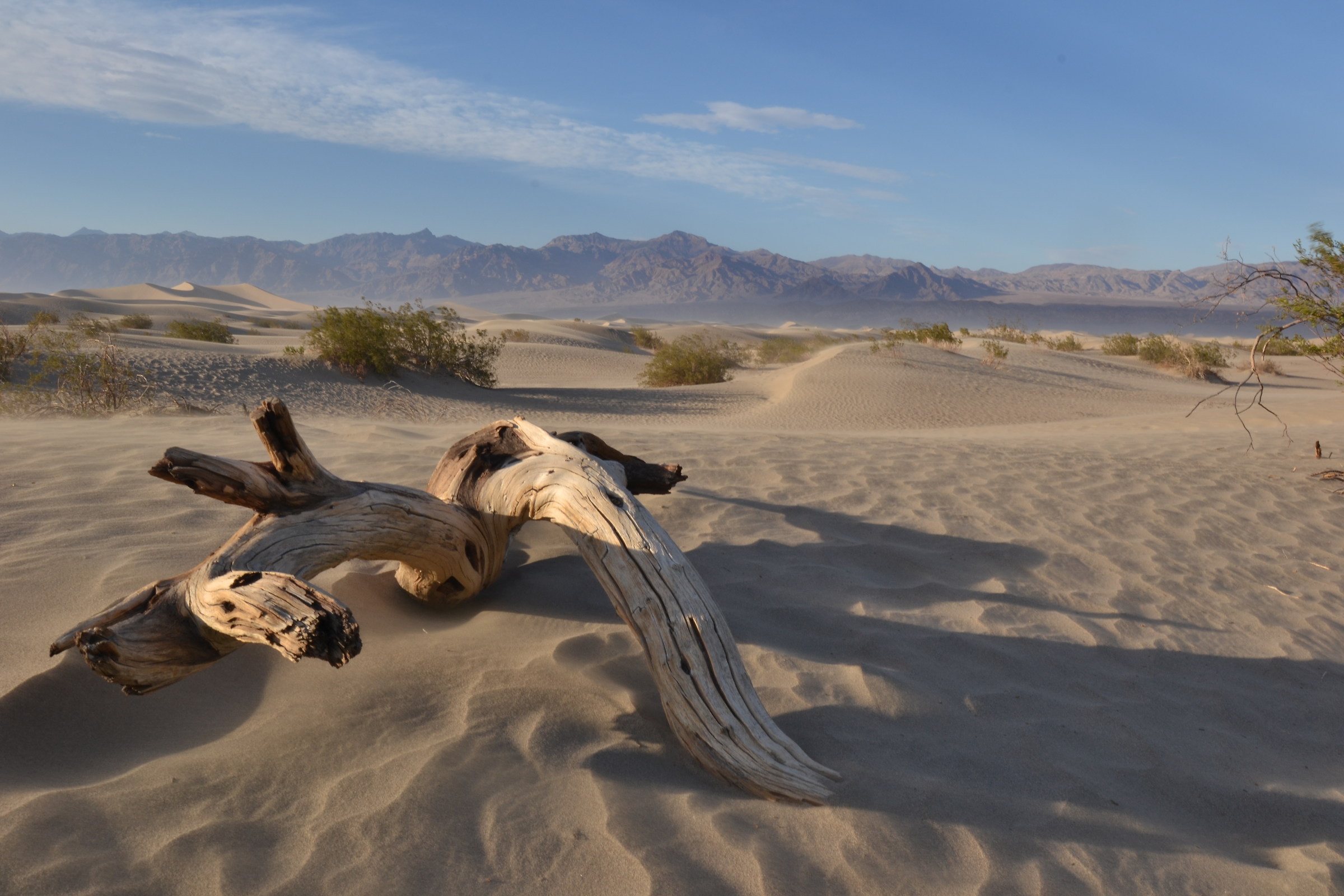 Death Valley - dune di sabbia