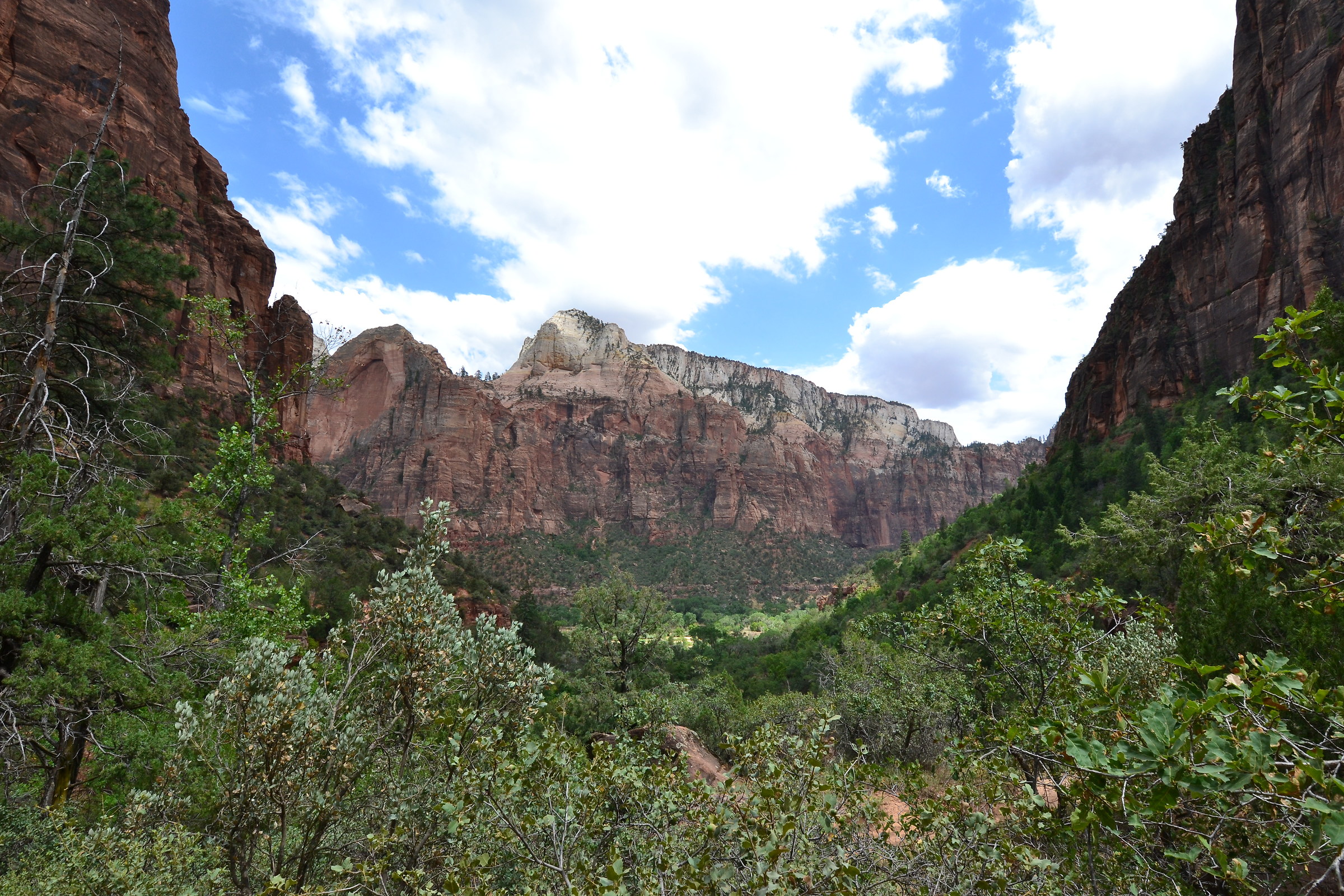 Zion NP